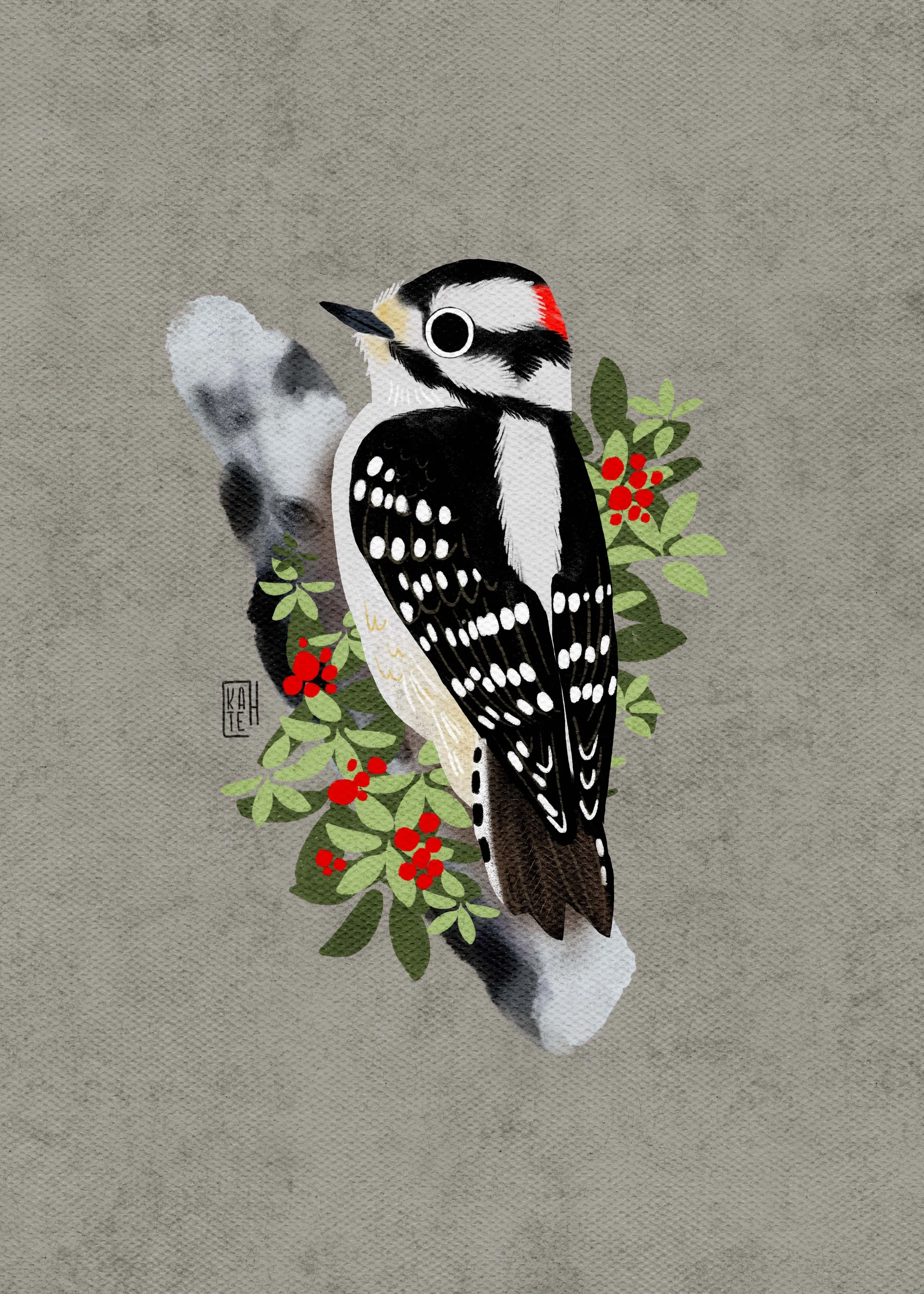 SBC-148 Downy Woodpecker-3.jpg