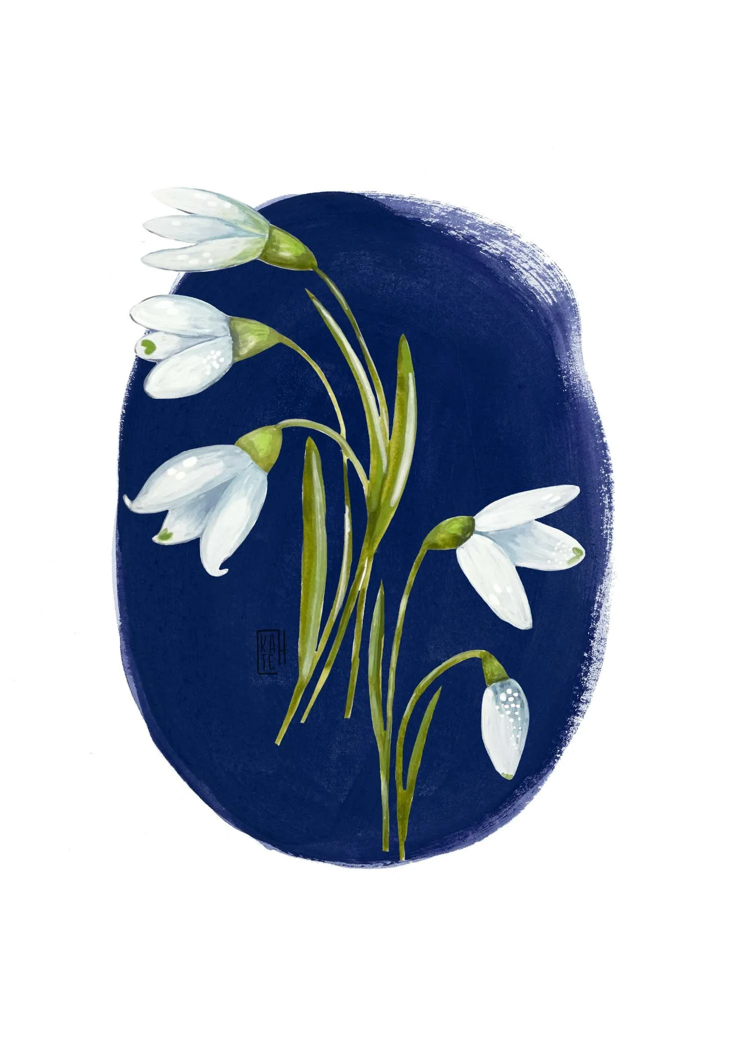 AC-234 snowdrops-4.jpg