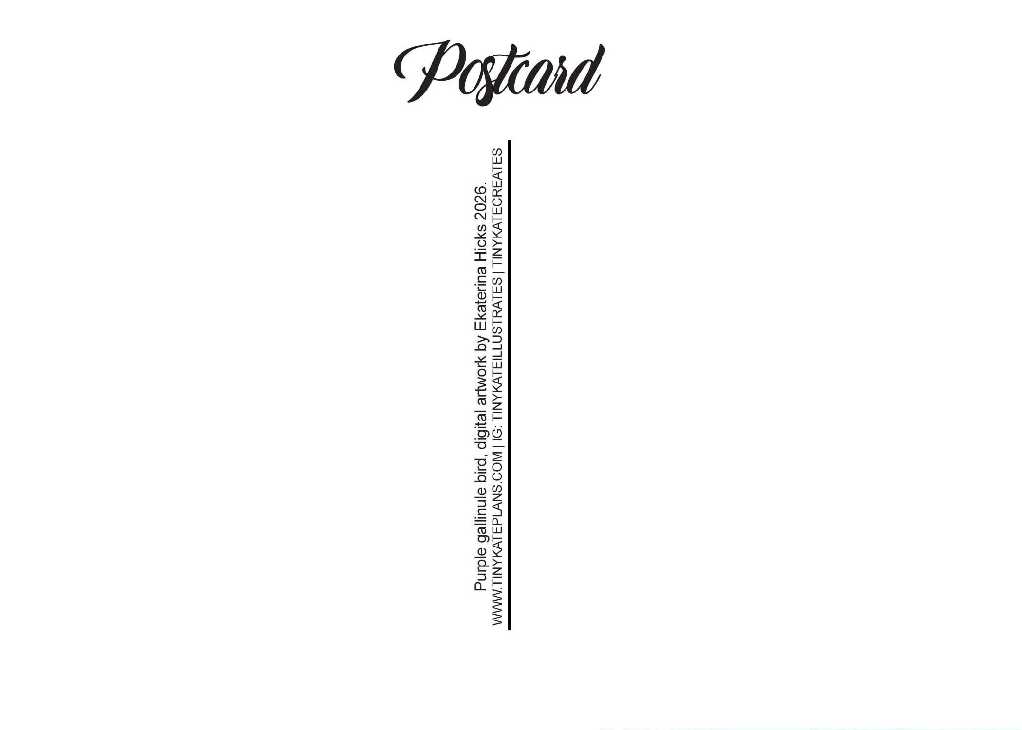 AC-230 purple gallinule back.jpg