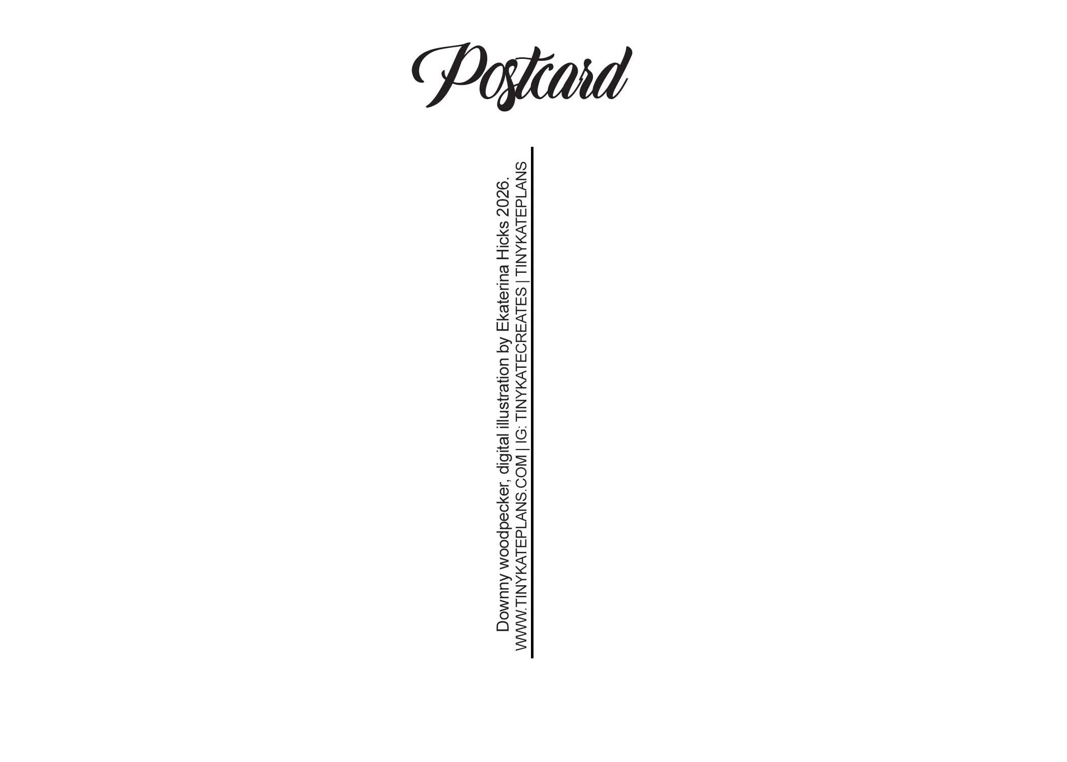 SBC-148 Downy Woodpecker back.jpg