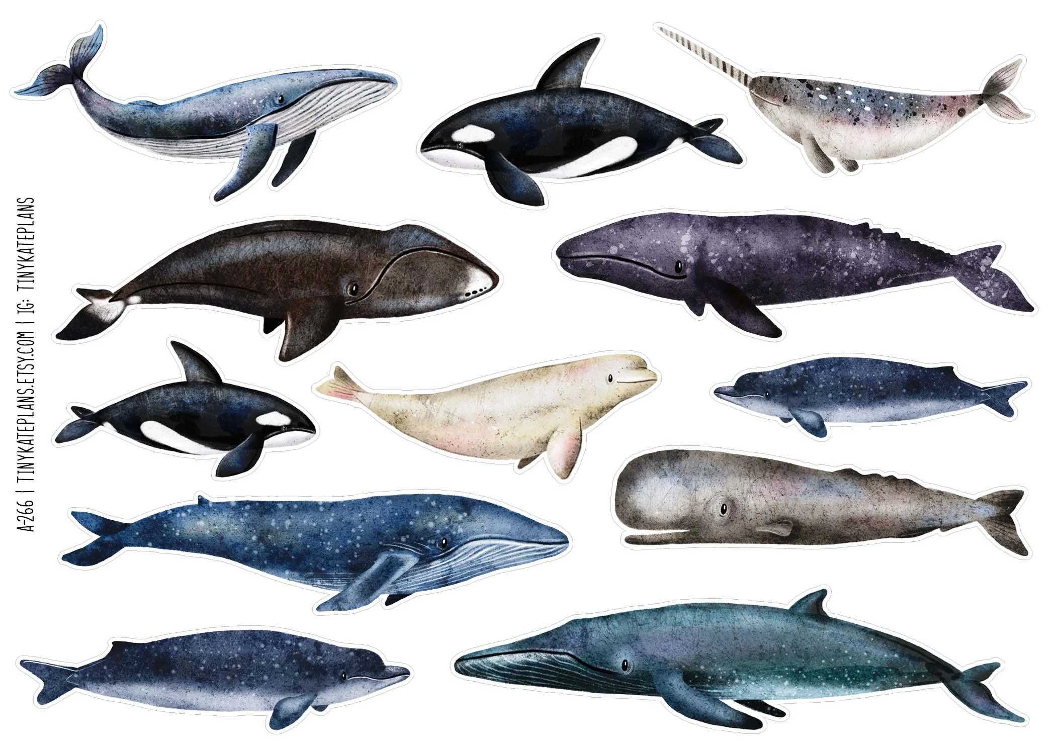 A-266 Whales 5x7.jpg