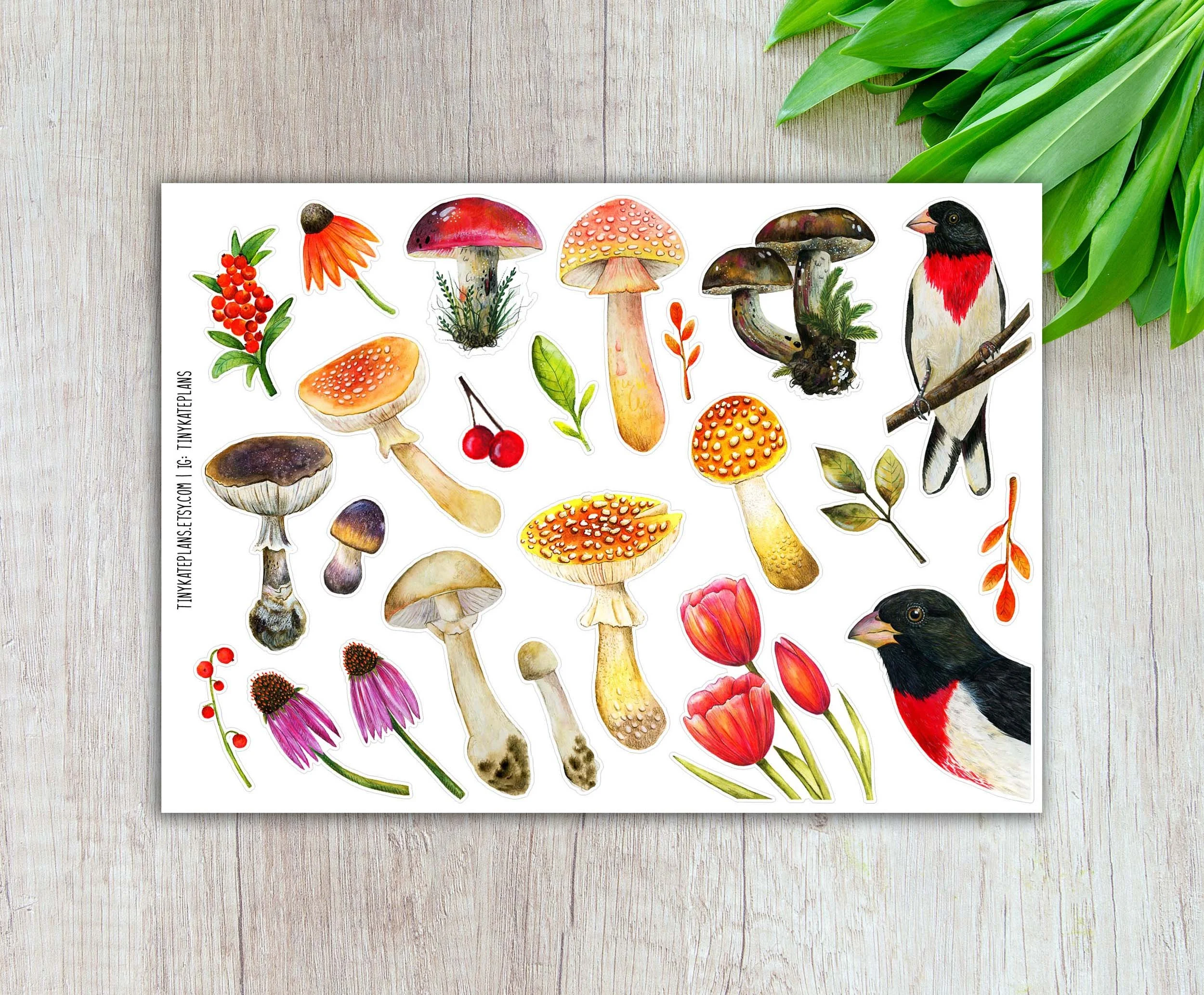 T-207 Birds and shrooms 5x7 etsy.jpg