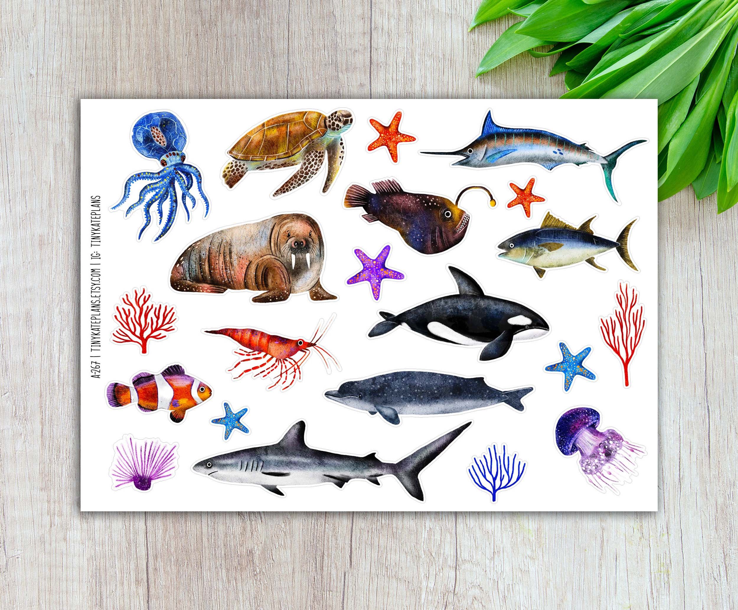 A-267 Ocean creatures 5x7 etsy.jpg