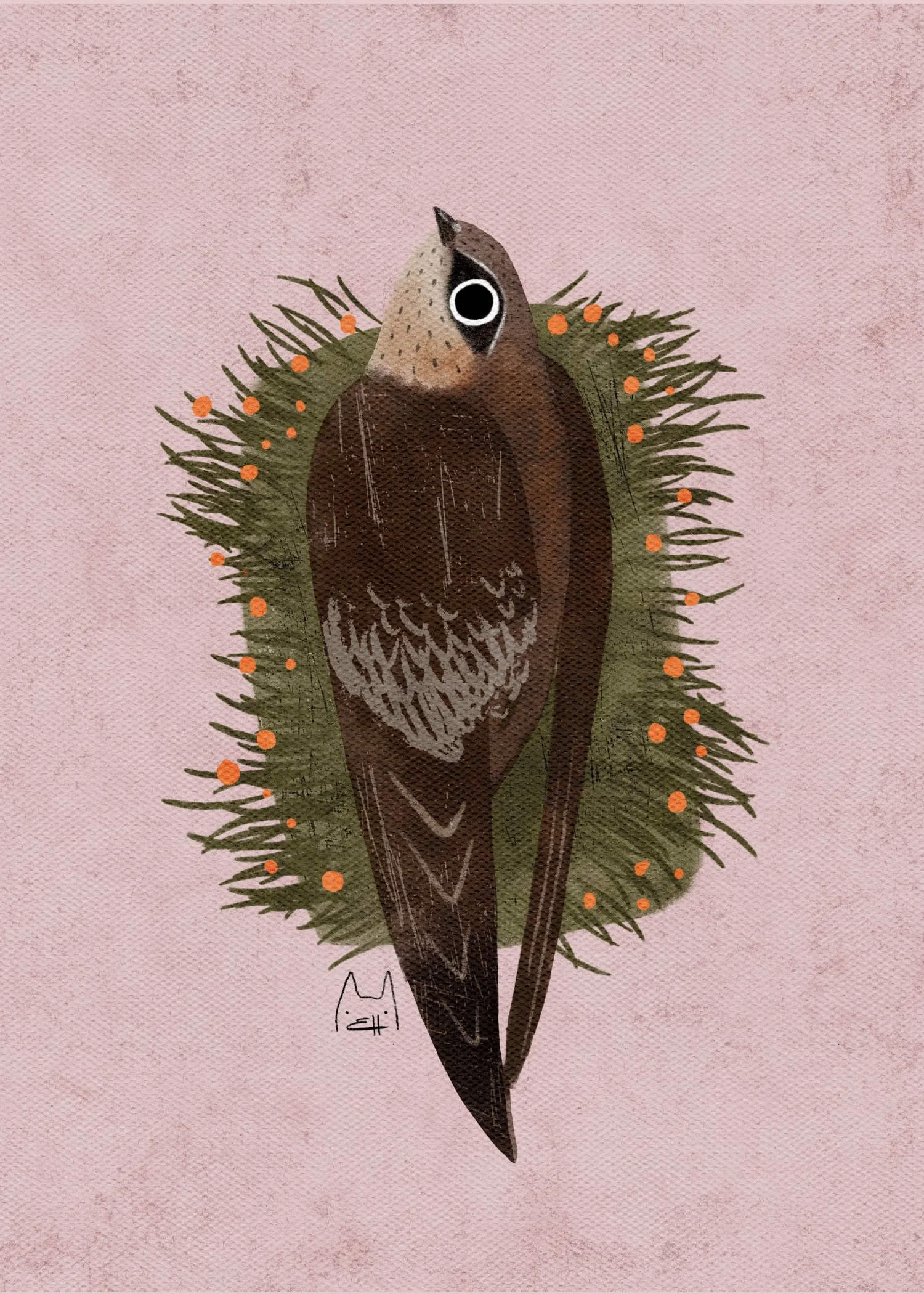 SBC-115 chimney swift 3.jpg