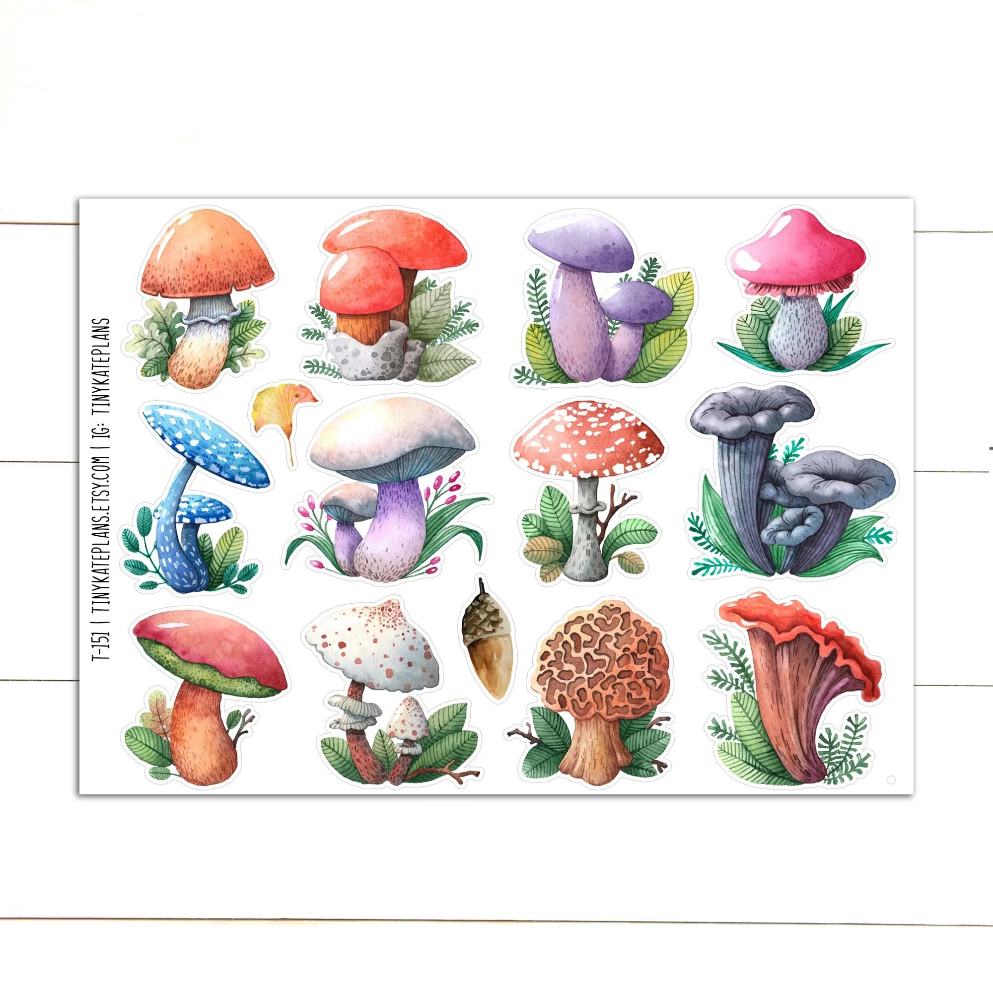 T-151 cute mushrooms 1 - 5x7 etsy.jpg
