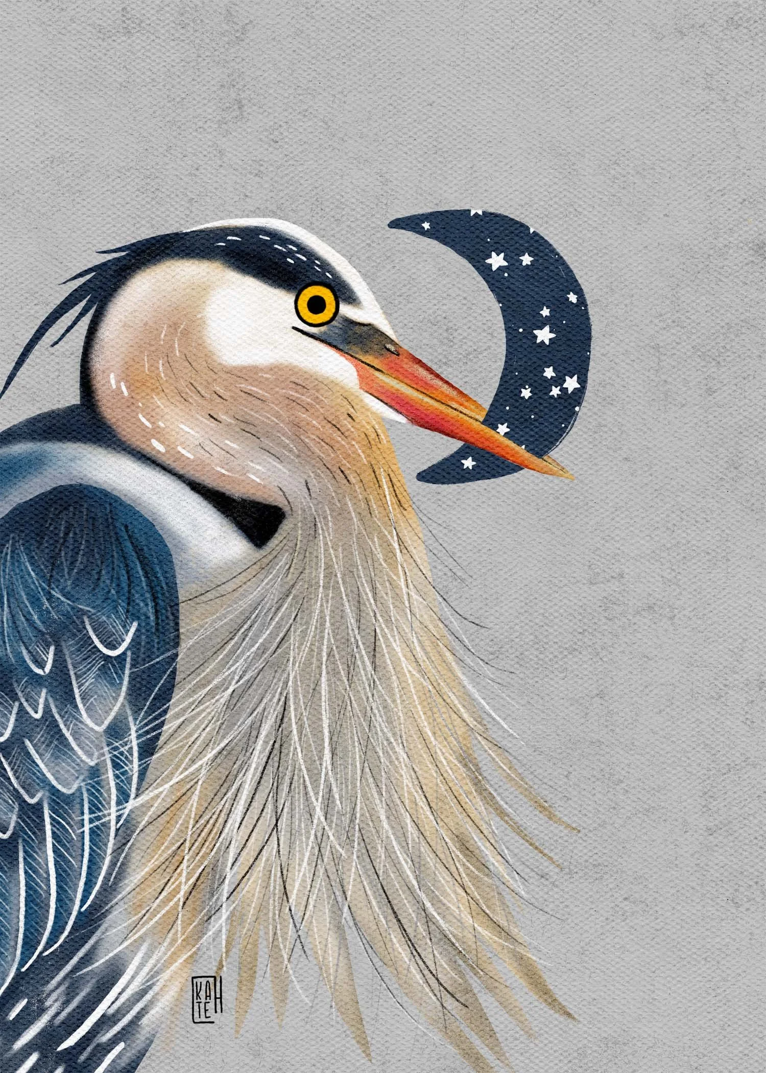 SBC-140 great blue heron-2.jpg