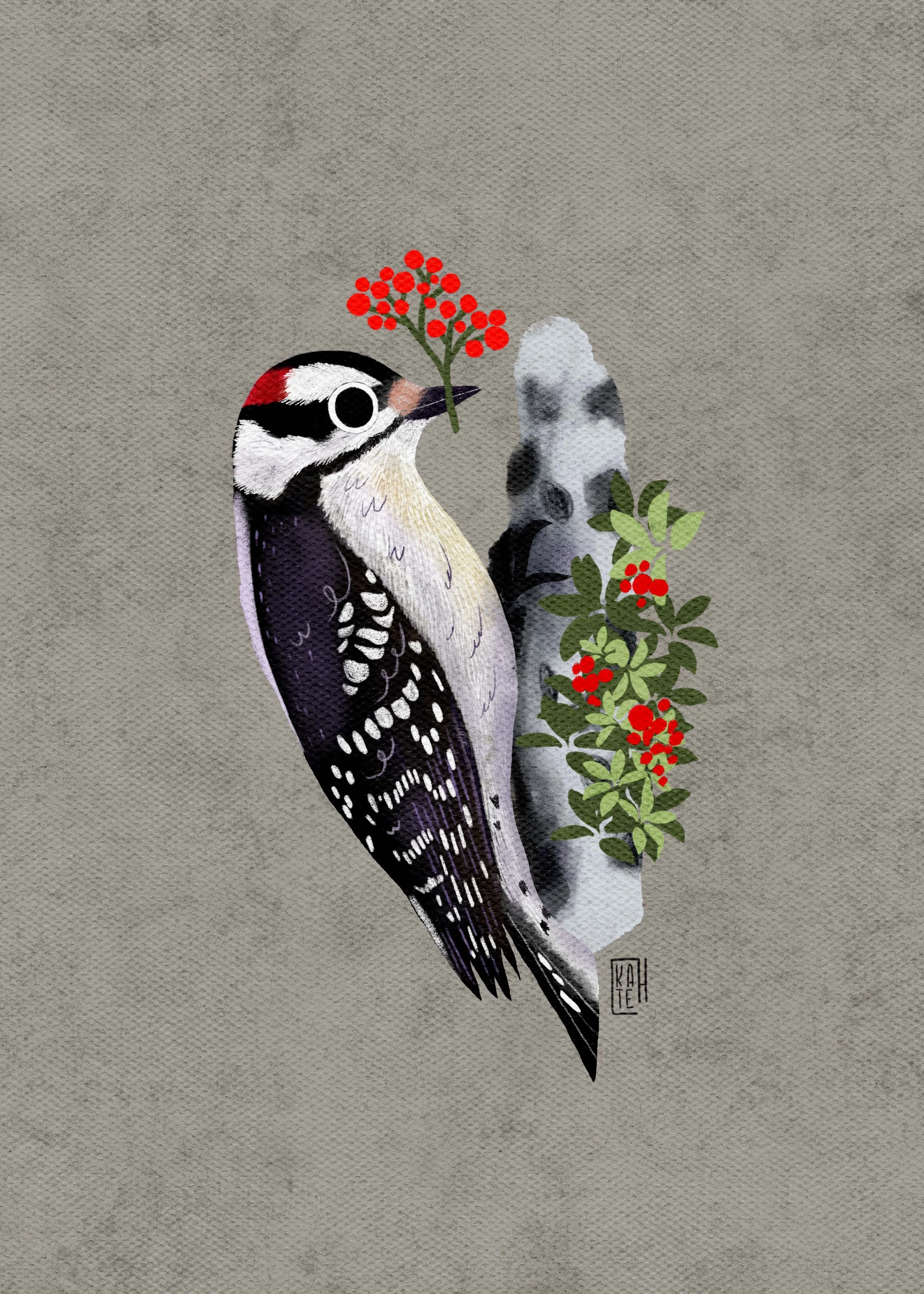 SBC-148 Downy Woodpecker-1.jpg