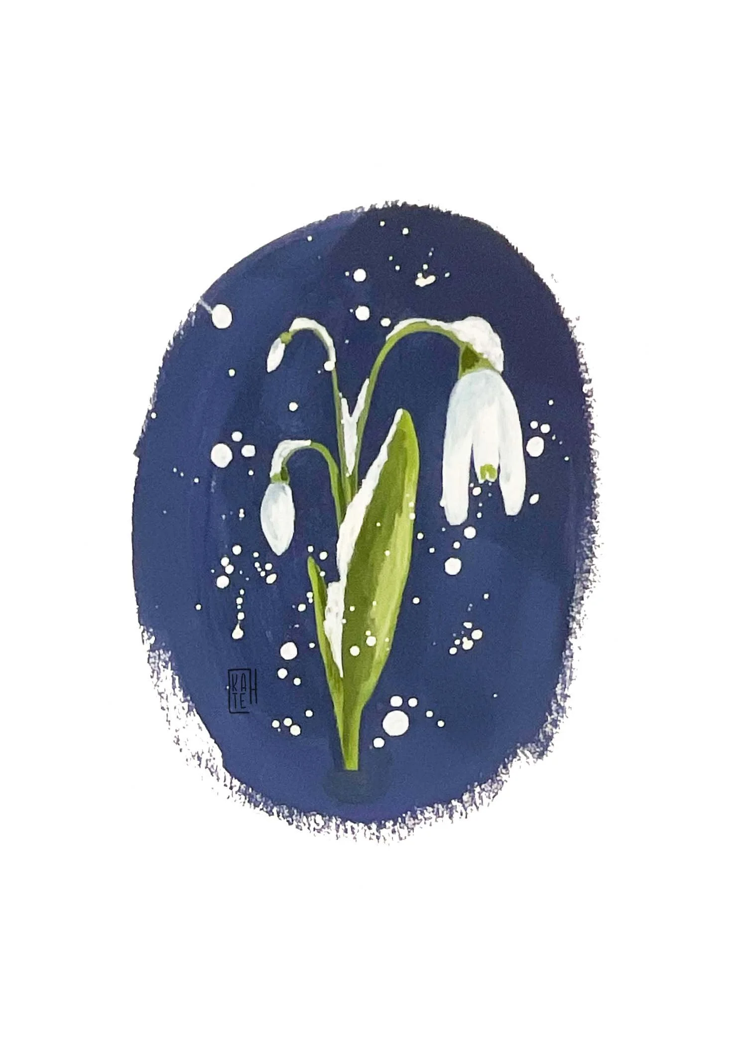 AC-234 snowdrops-2.jpg