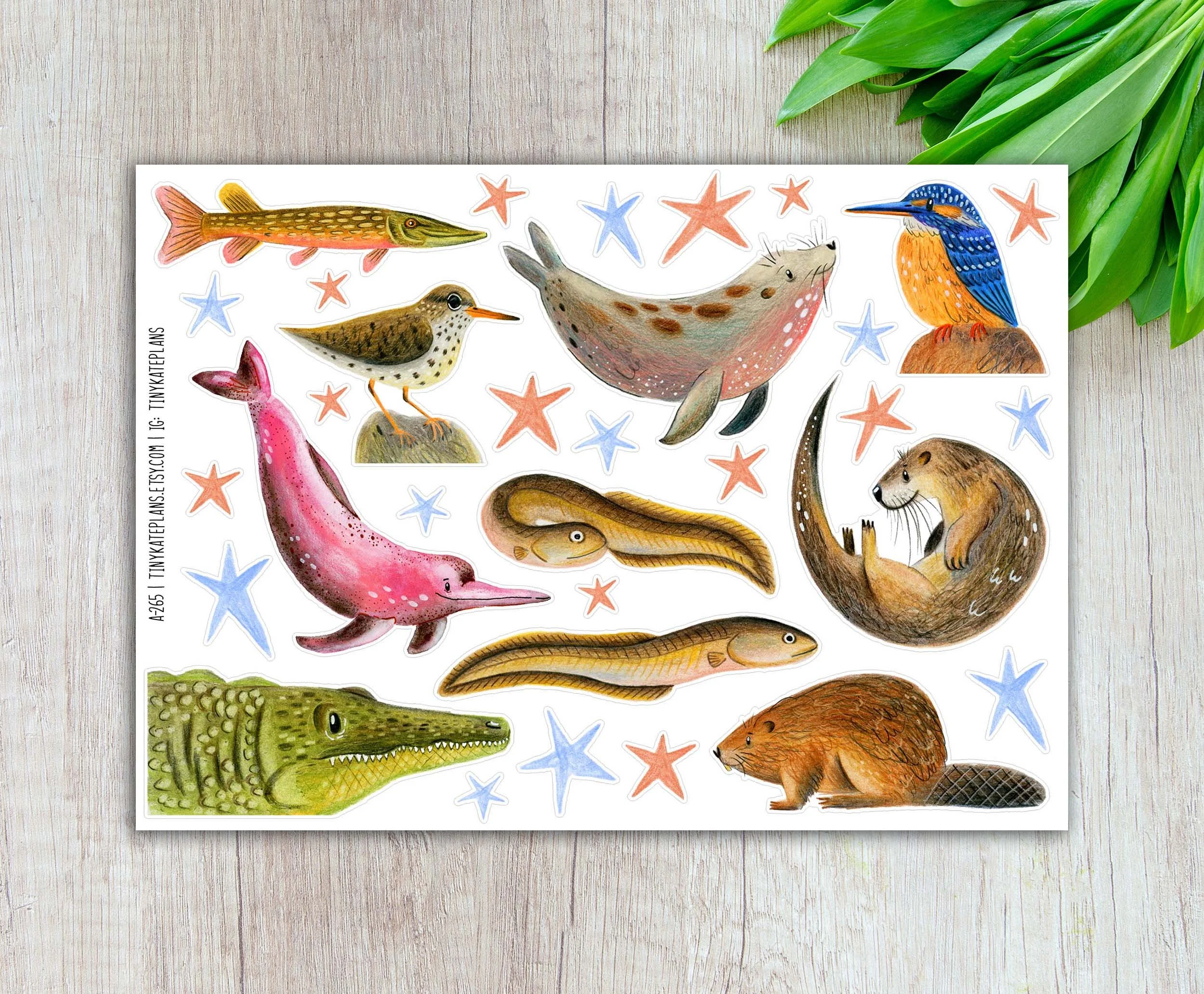 A-265 River creatures 5x7 etsy.jpg