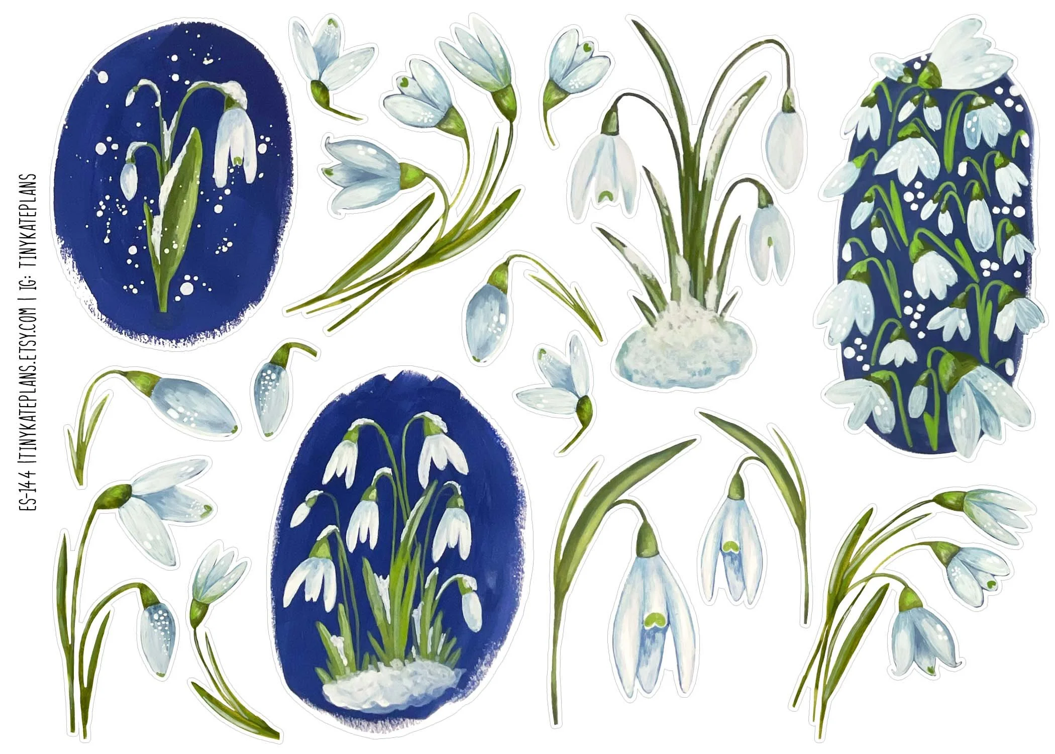 ES-144 Snowdrops 5x7.jpg