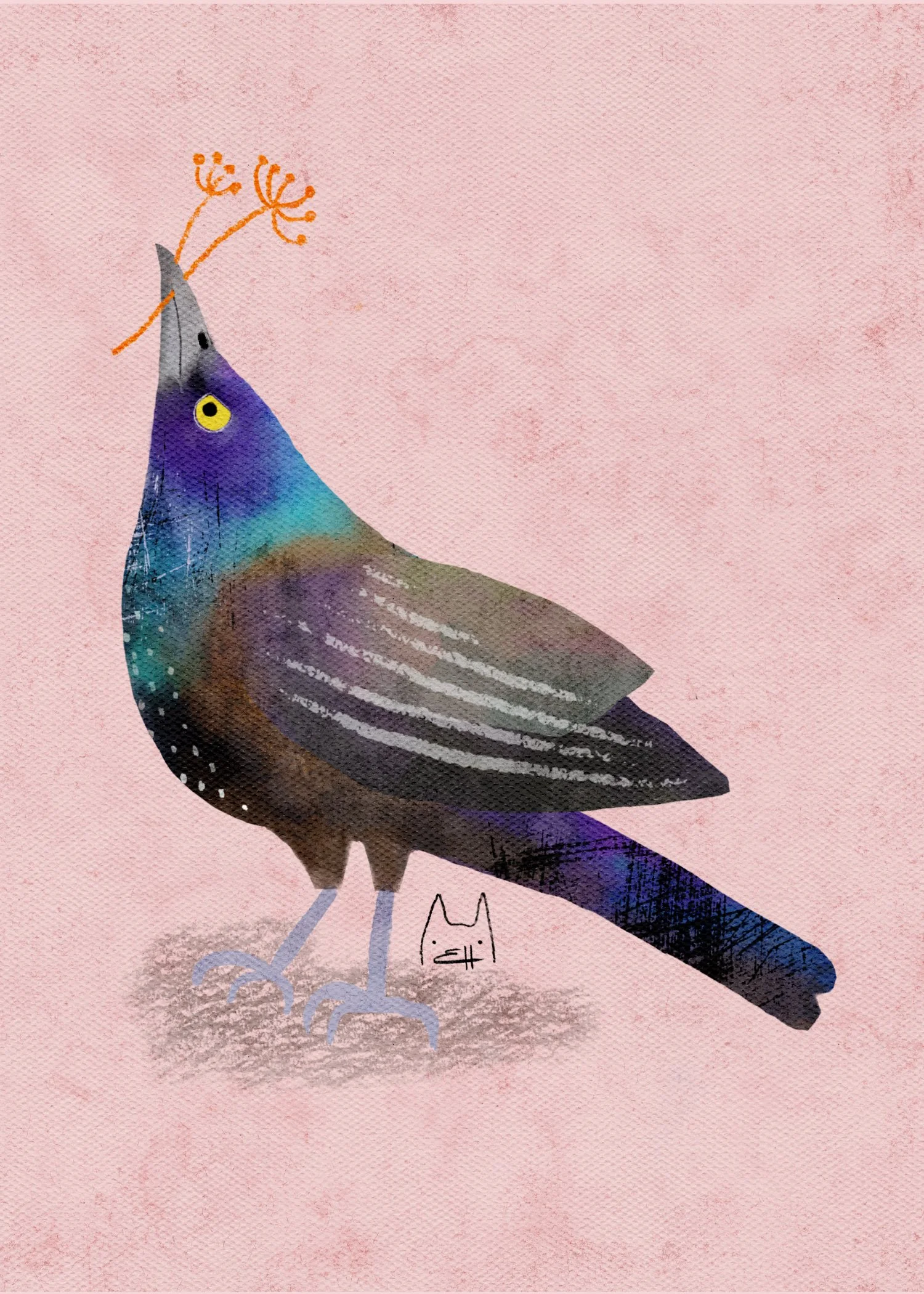 SBC-109 common grackle 2.jpg
