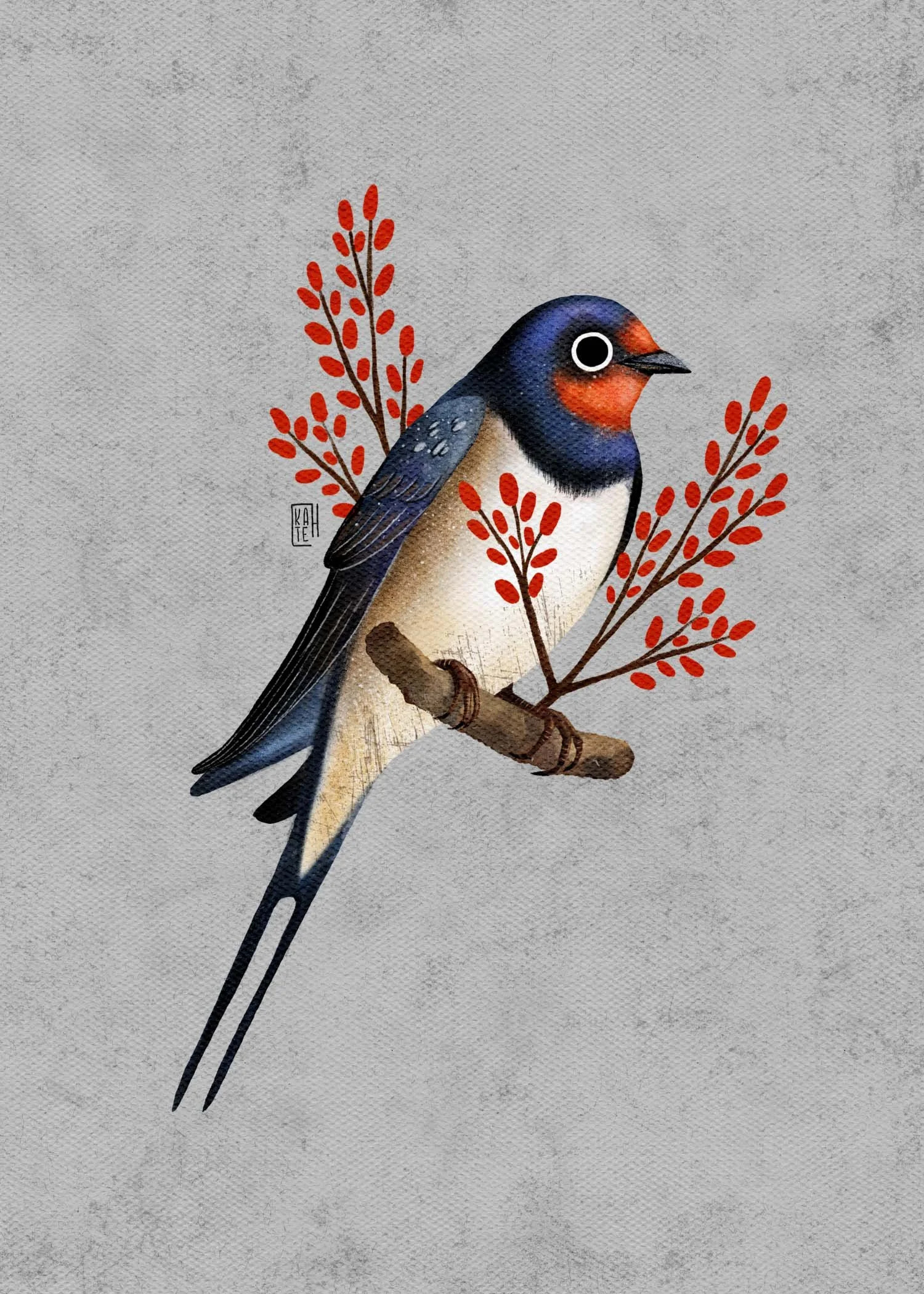 SBC-138 barn swallow-2.jpg