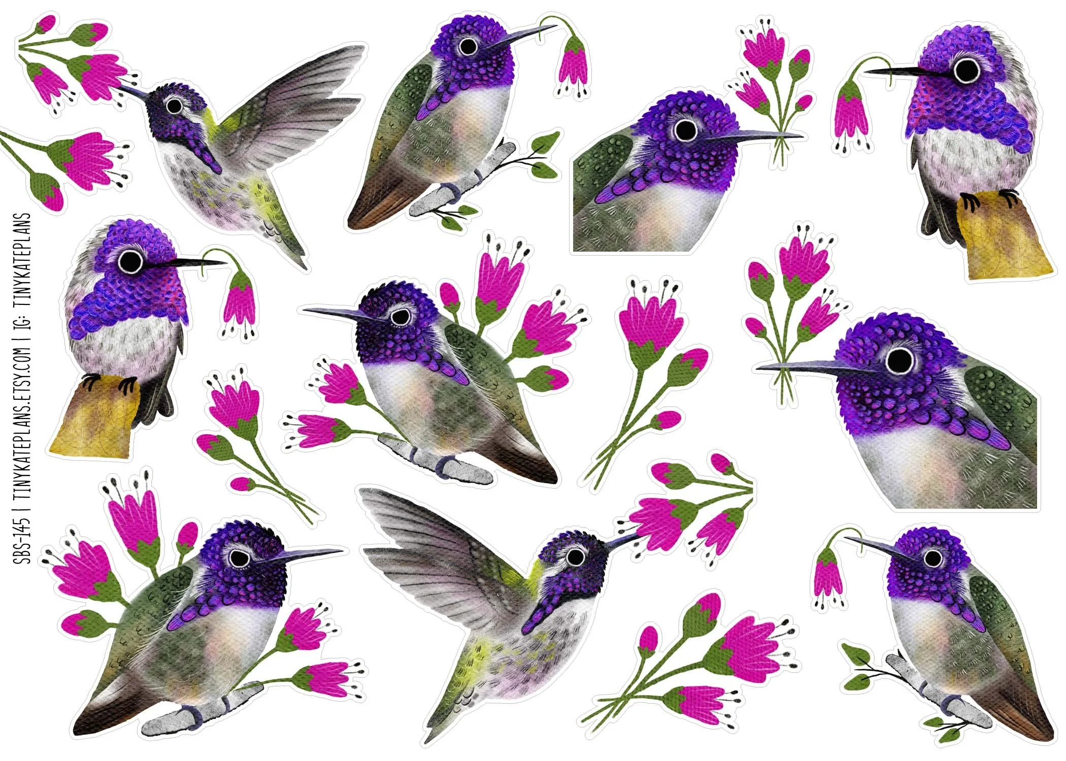 SBS-145 Costas hummers 5x7.jpg