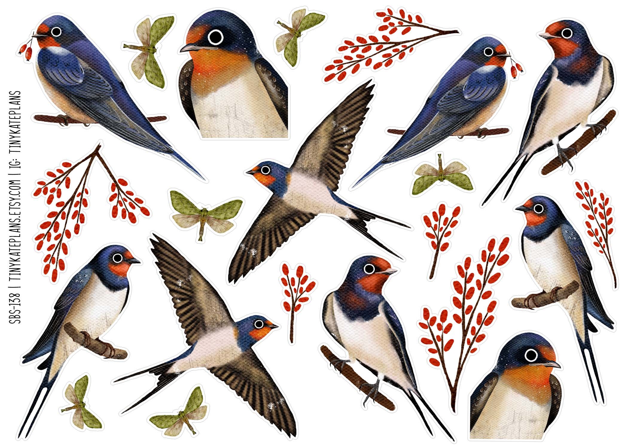 SBS-138 barn swallow 5x7.jpg