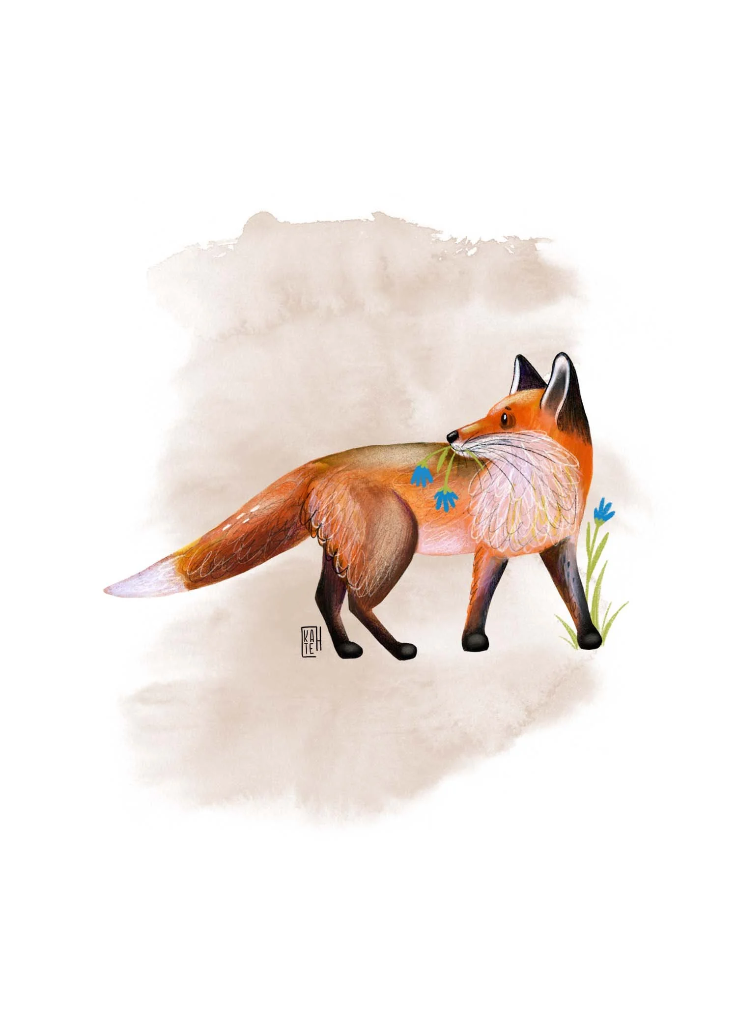 AC-247 fall foxes 5.jpg