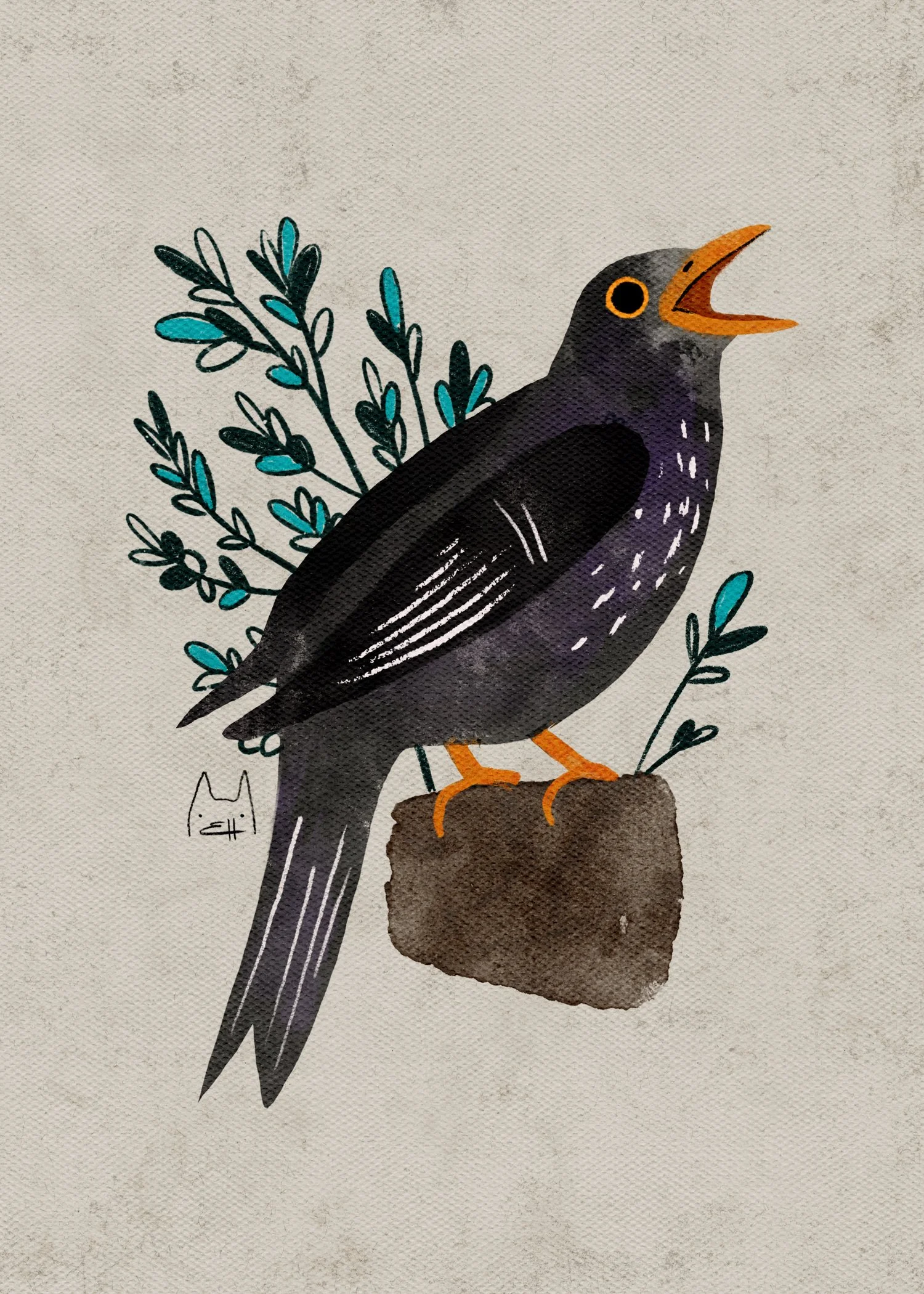 SBC-116 common blackbird 2.jpg