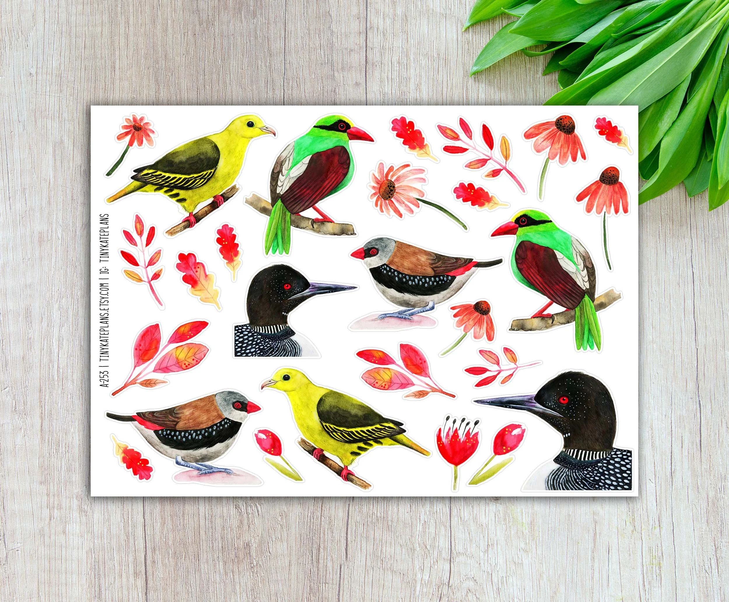 A-253 Bright birds and florals 5x7 etsy.jpg