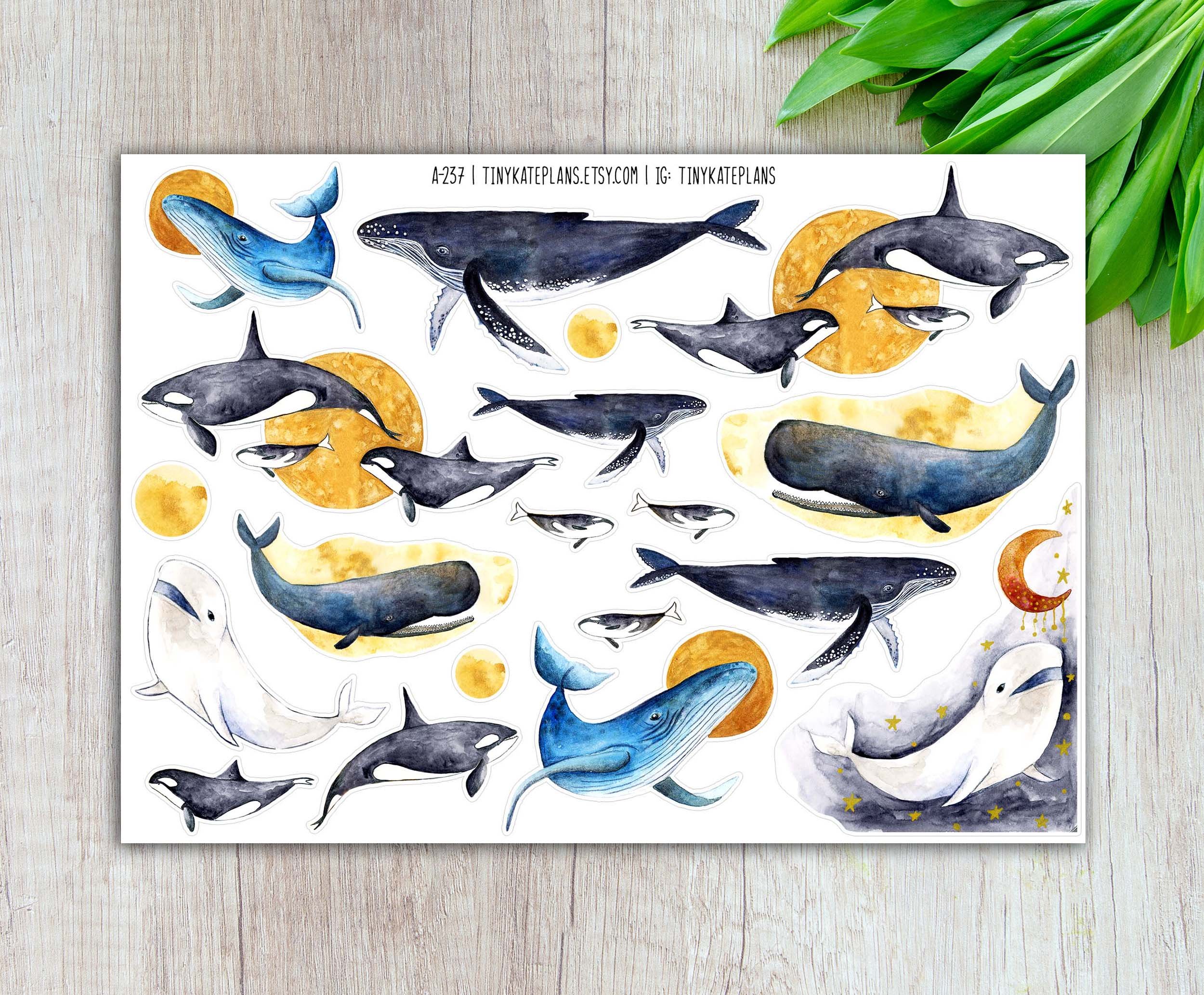 A-237 whales 5x7 etsy.jpg