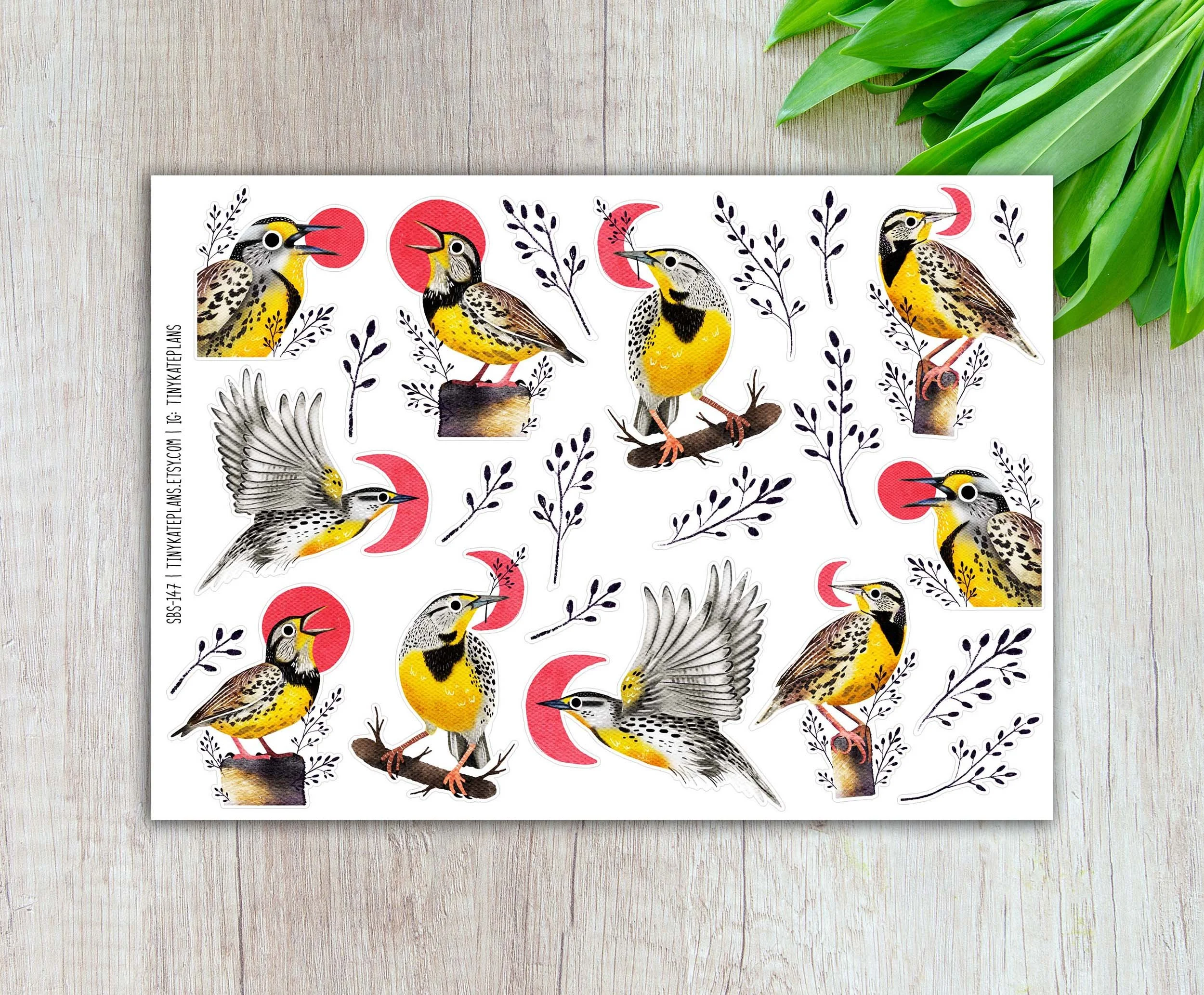 SBS-147 eastern meadowlark 5x7 etsy.jpg