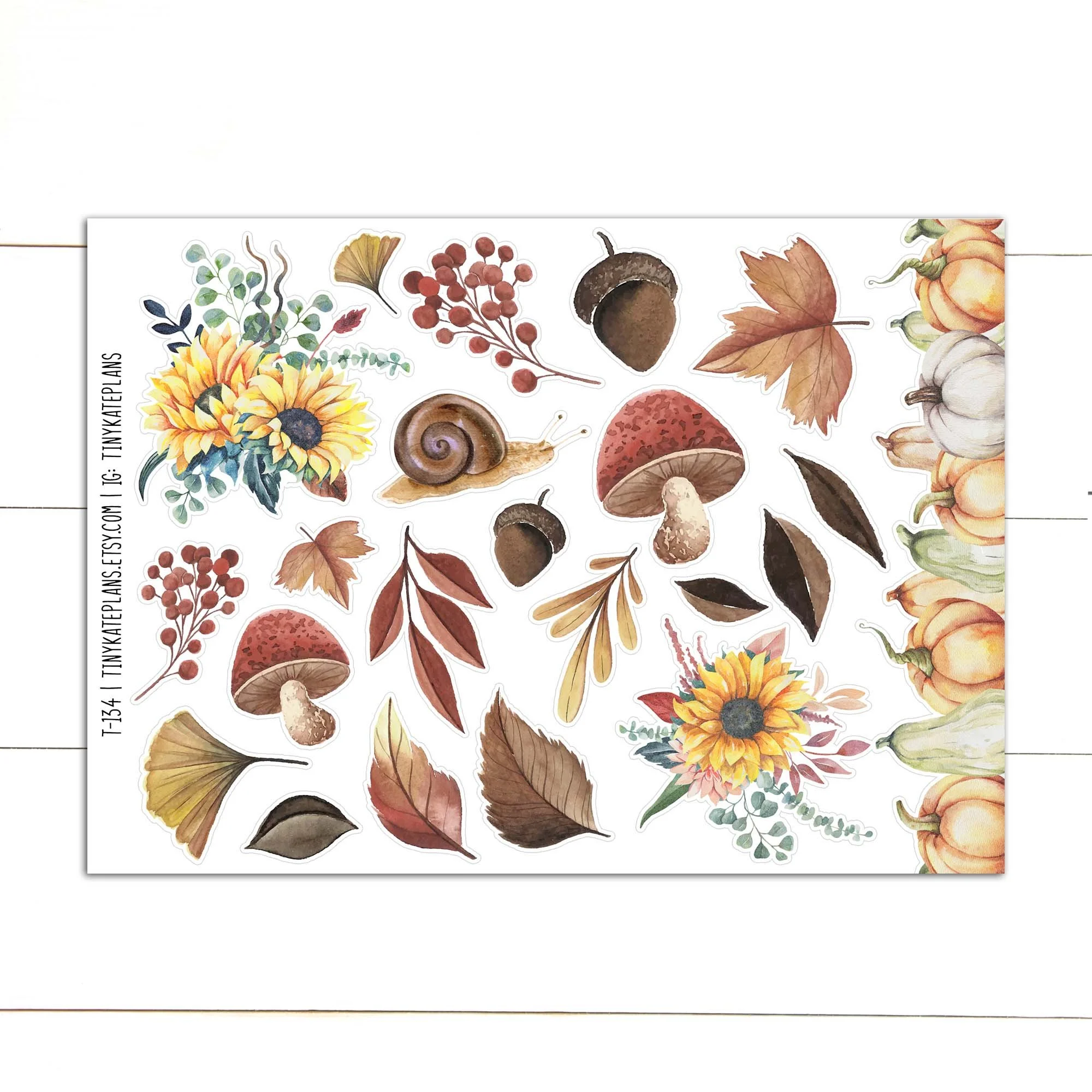 T-134 fall snail 5x7 etsy.jpg