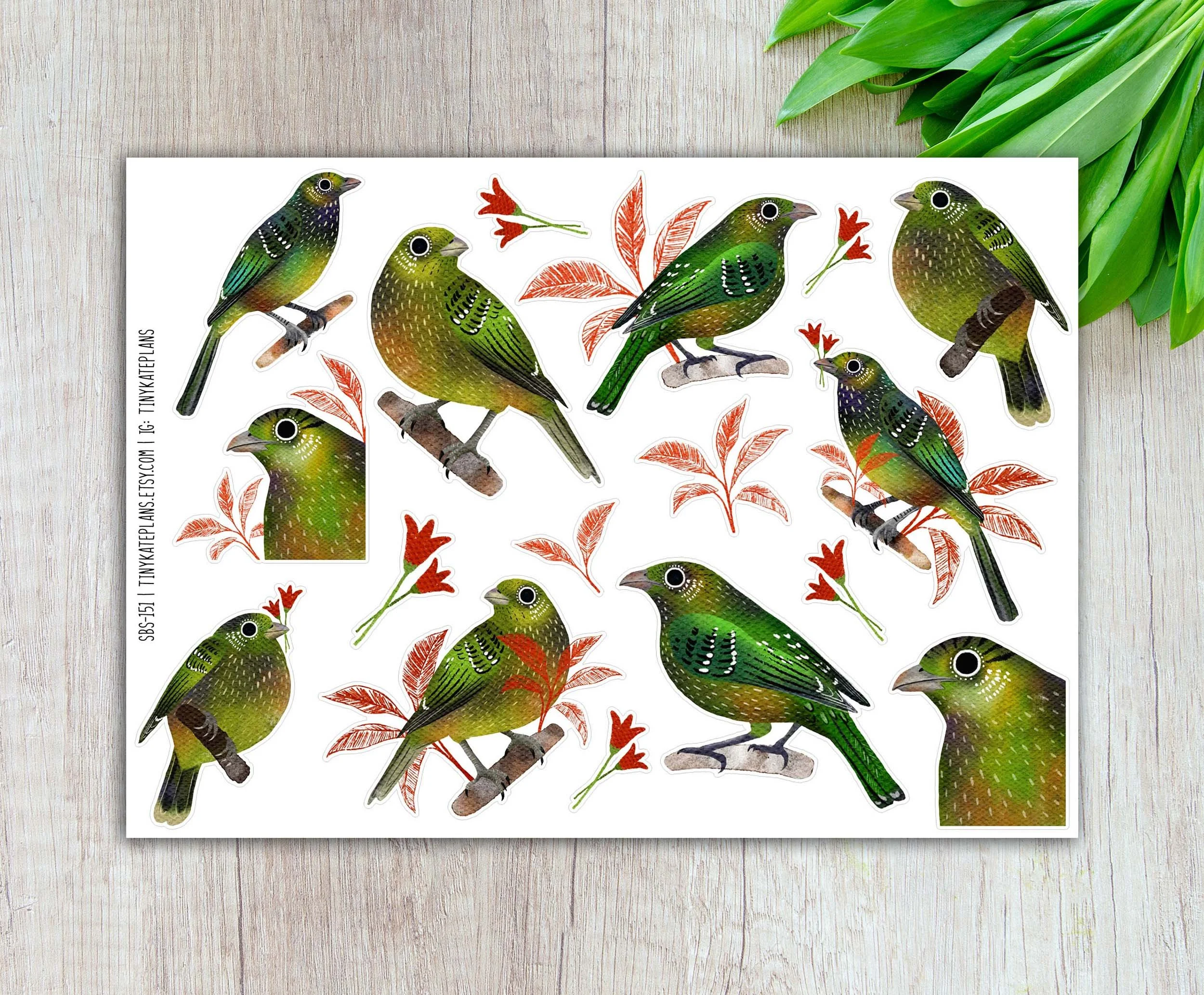 Green Catbird Planner Stickers, Silly Bird Planner Stickers, Green Bird Stickers. SBS-151