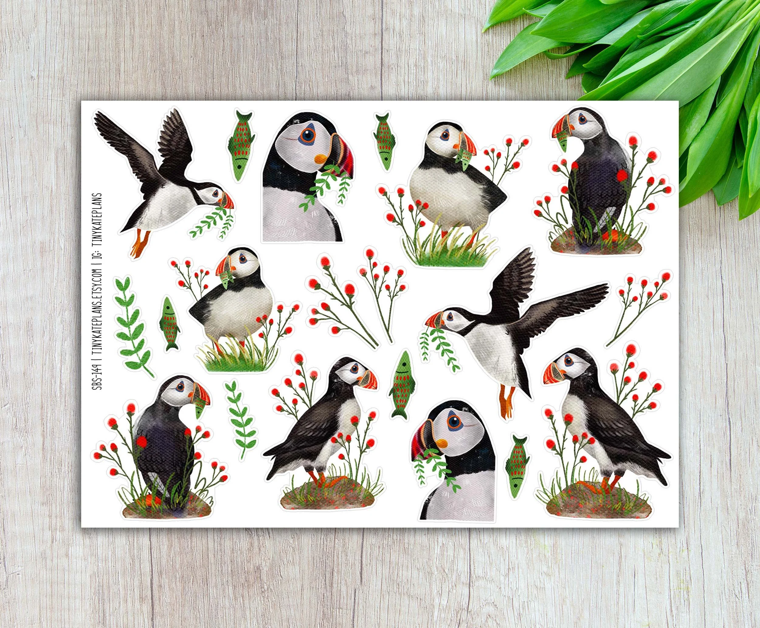 Atlantic Puffin Planner Stickers, Silly Bird Planner Stickers, Ocean Bird Stickers. SBS-149