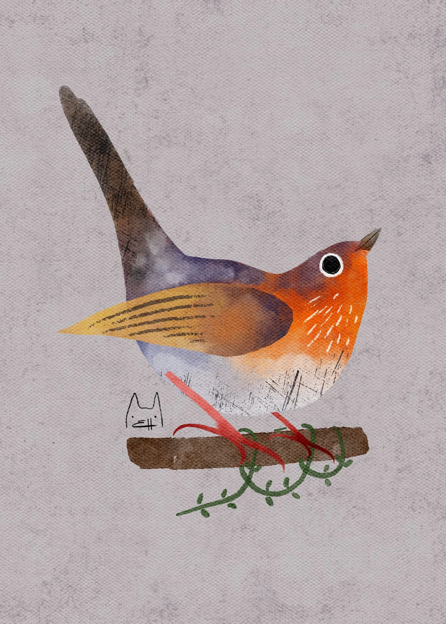 SBC-105 english robin-5.jpg