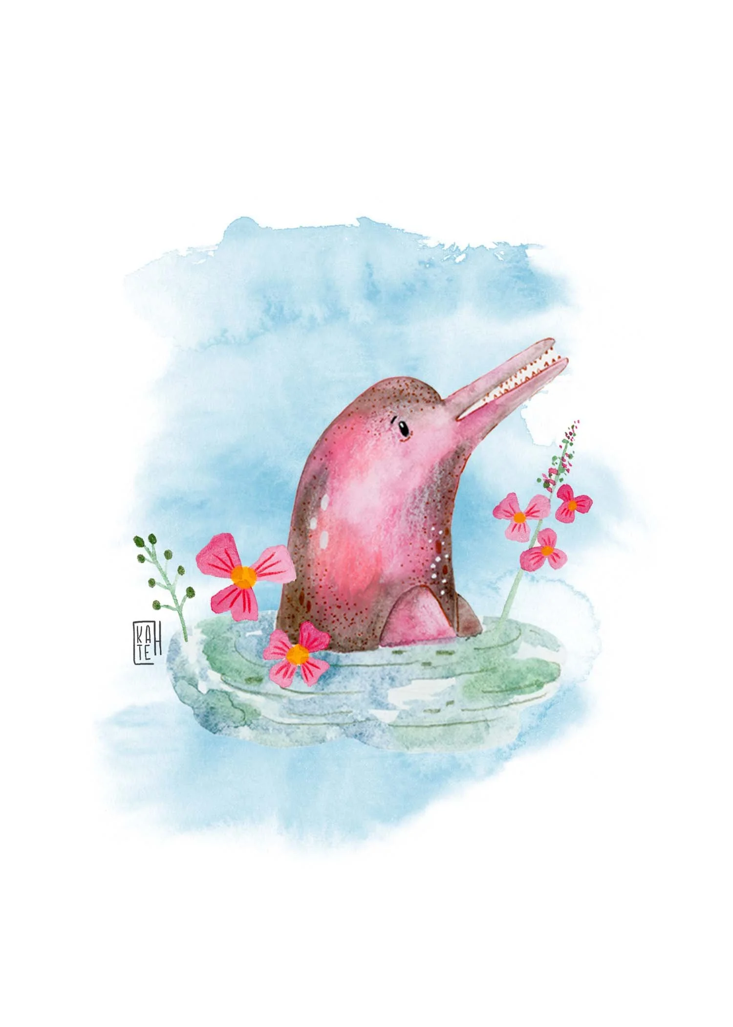 AC-237 pink dolphins-4.jpg