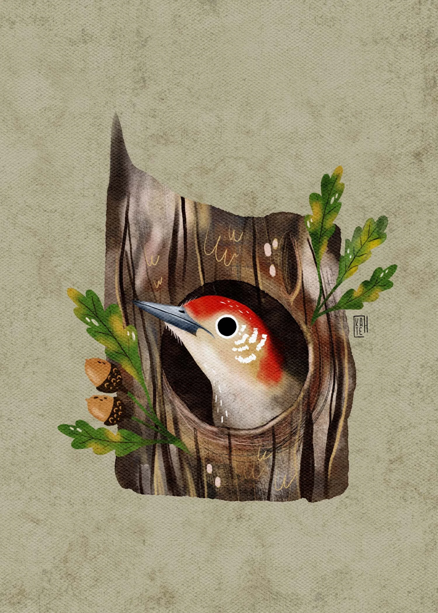 SBC-139 red-bellied woodpecker 3.jpg