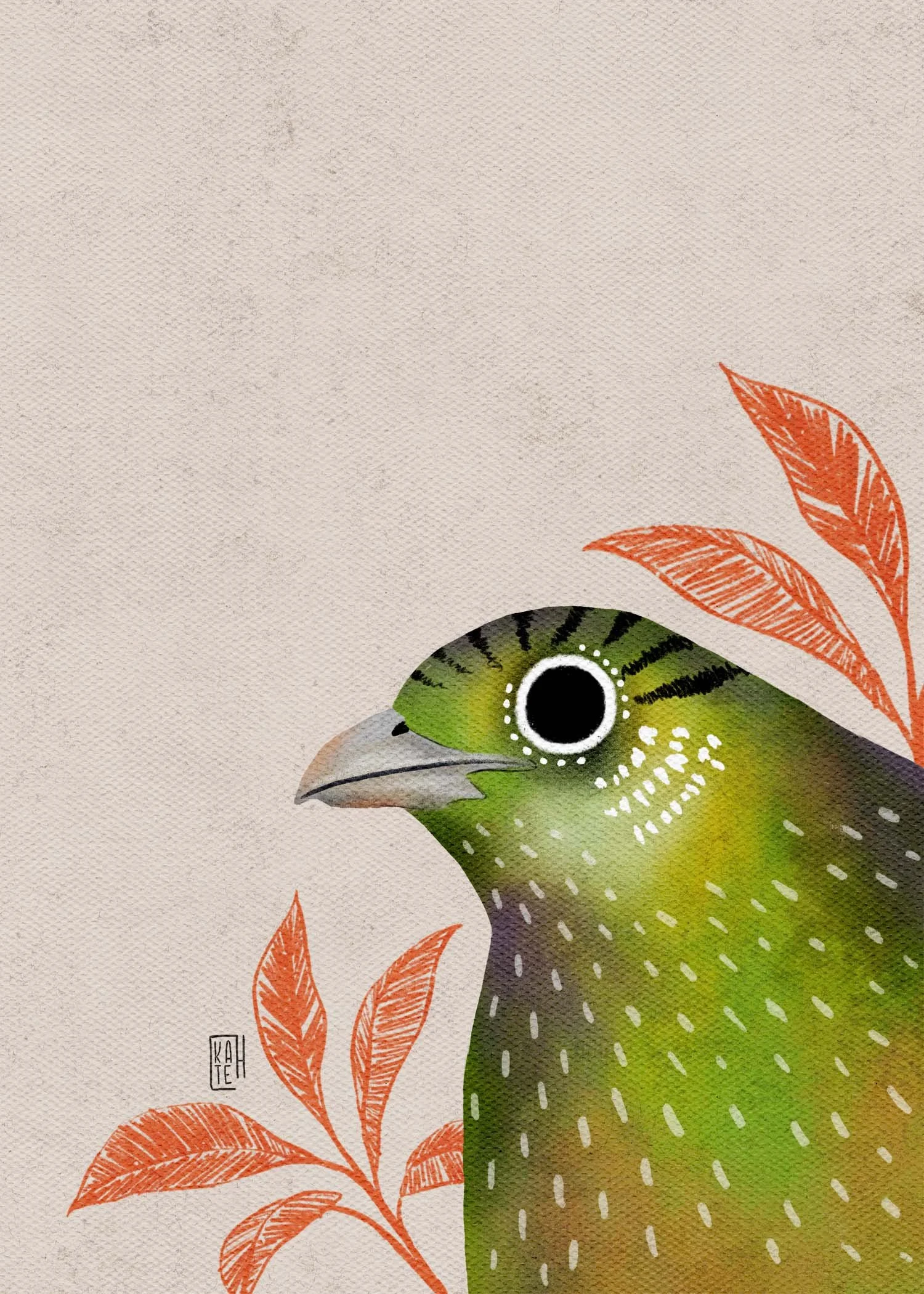 SBC-151 green catbird-2.jpg