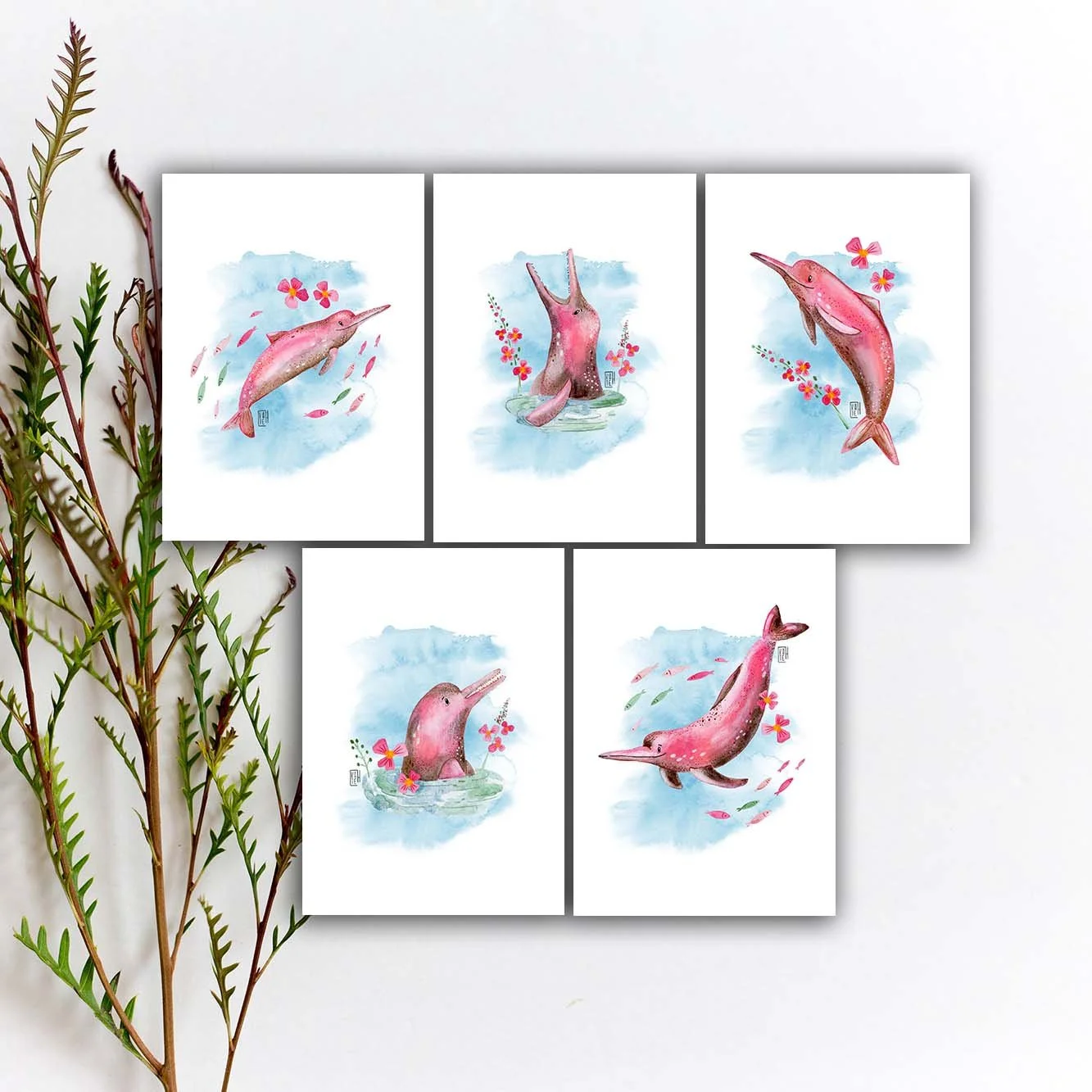 AC-237 pink dolphins 5x7 etsy.jpg