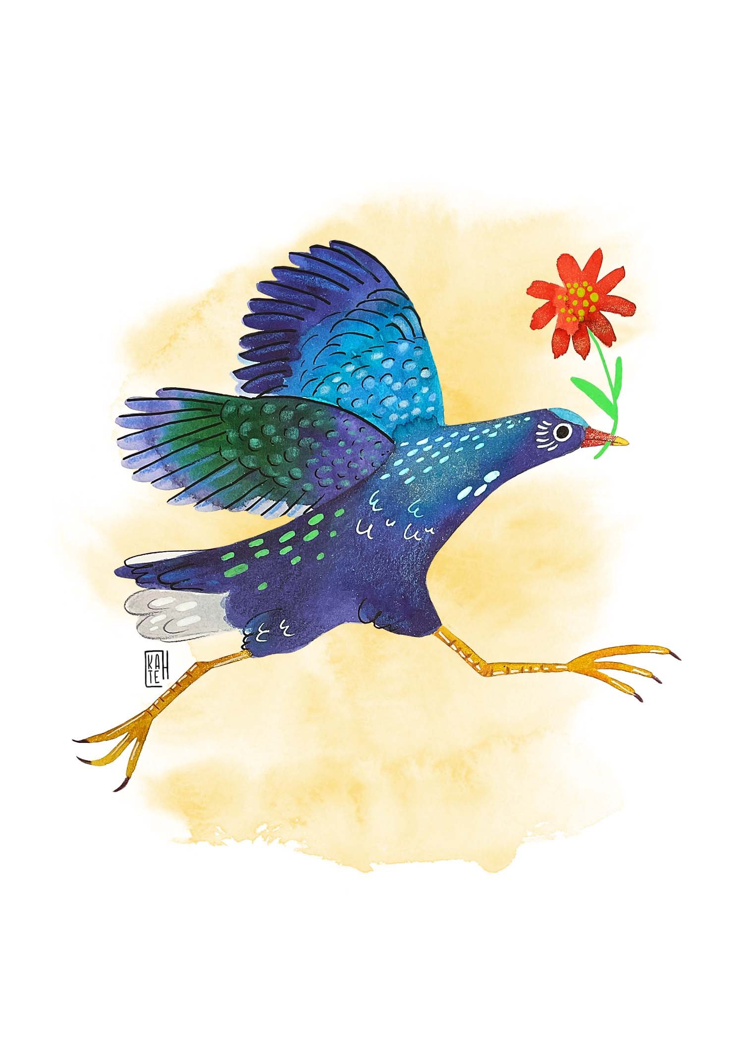 AC-230 purple gallinule-4.jpg