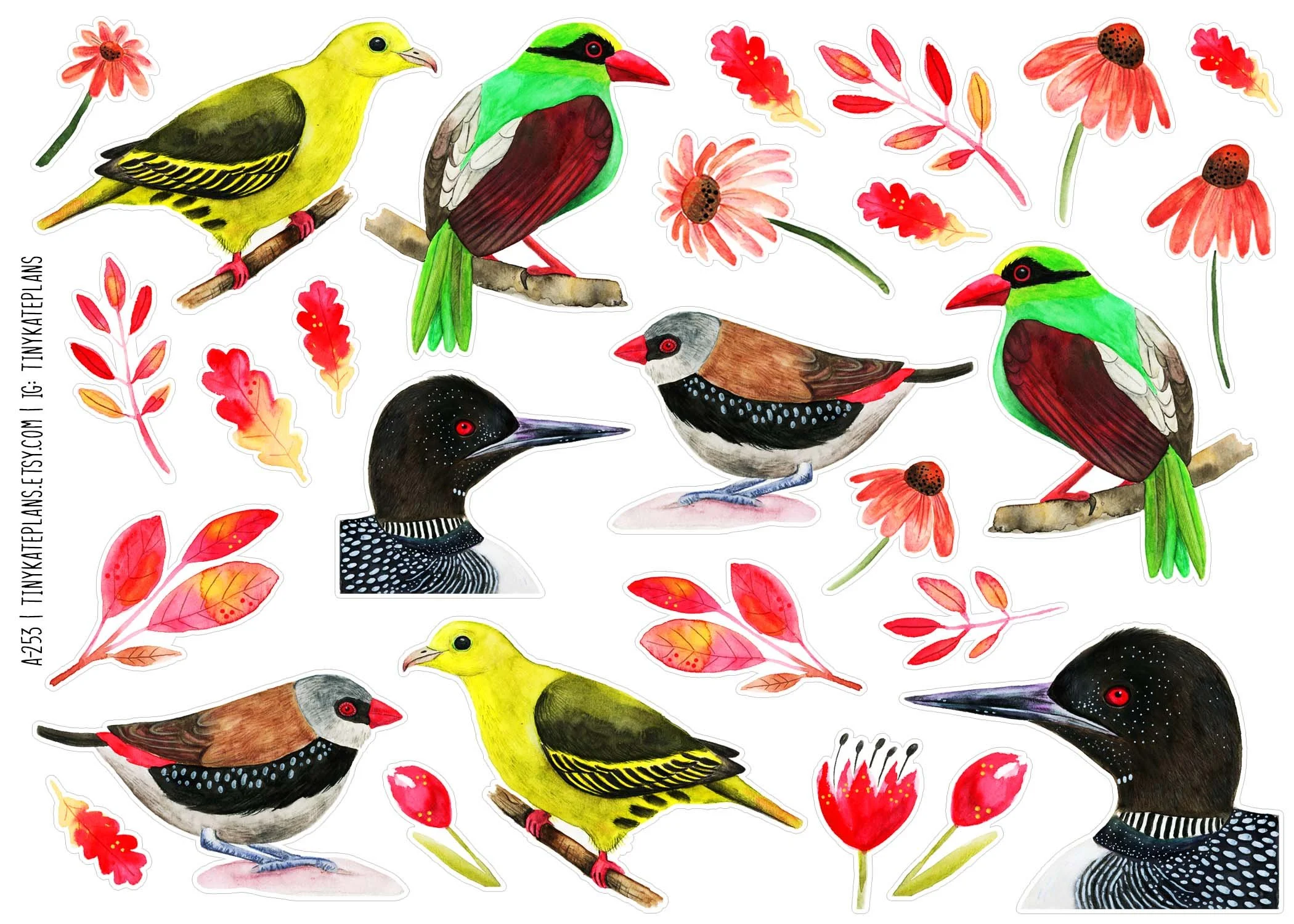 A-253 Bright birds and florals 5x7.jpg