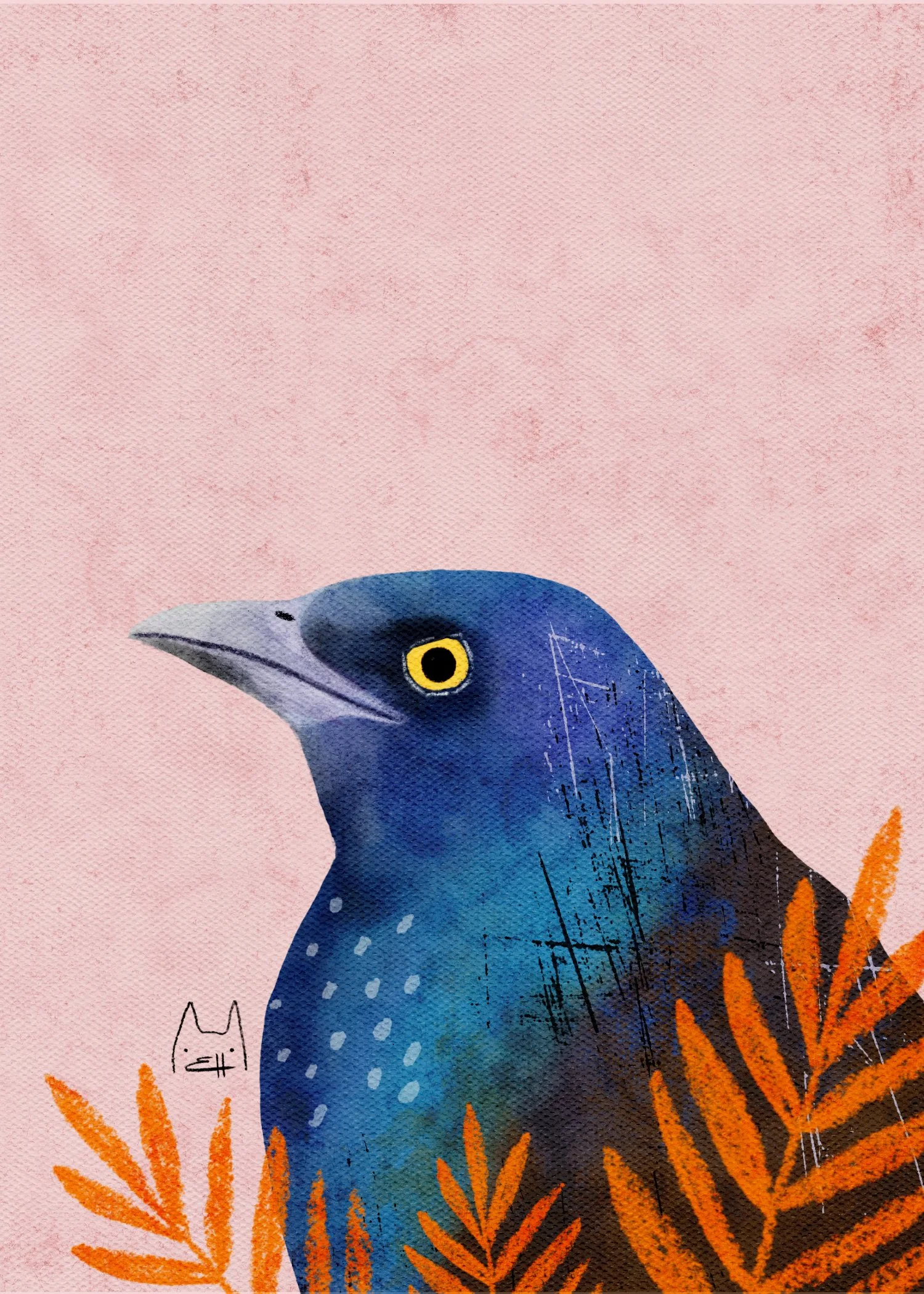 SBC-109 common grackle 5.jpg