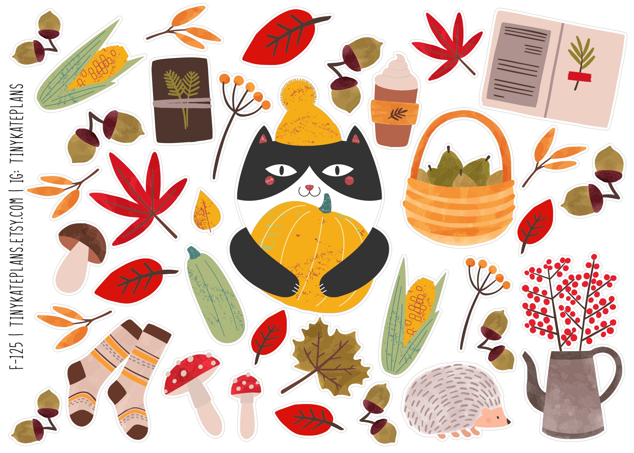 T-125 cat with a pumpkin 5x7.jpg