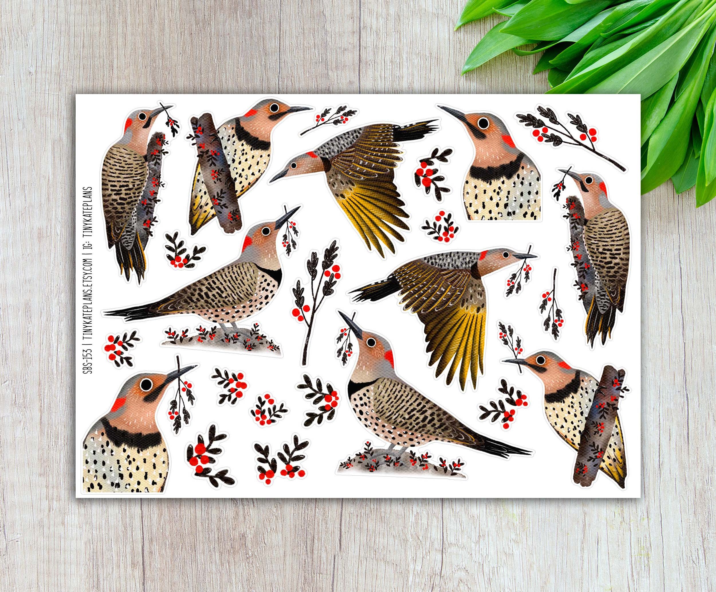 SBS-153 Northern flicker 5x7 etsy.jpg