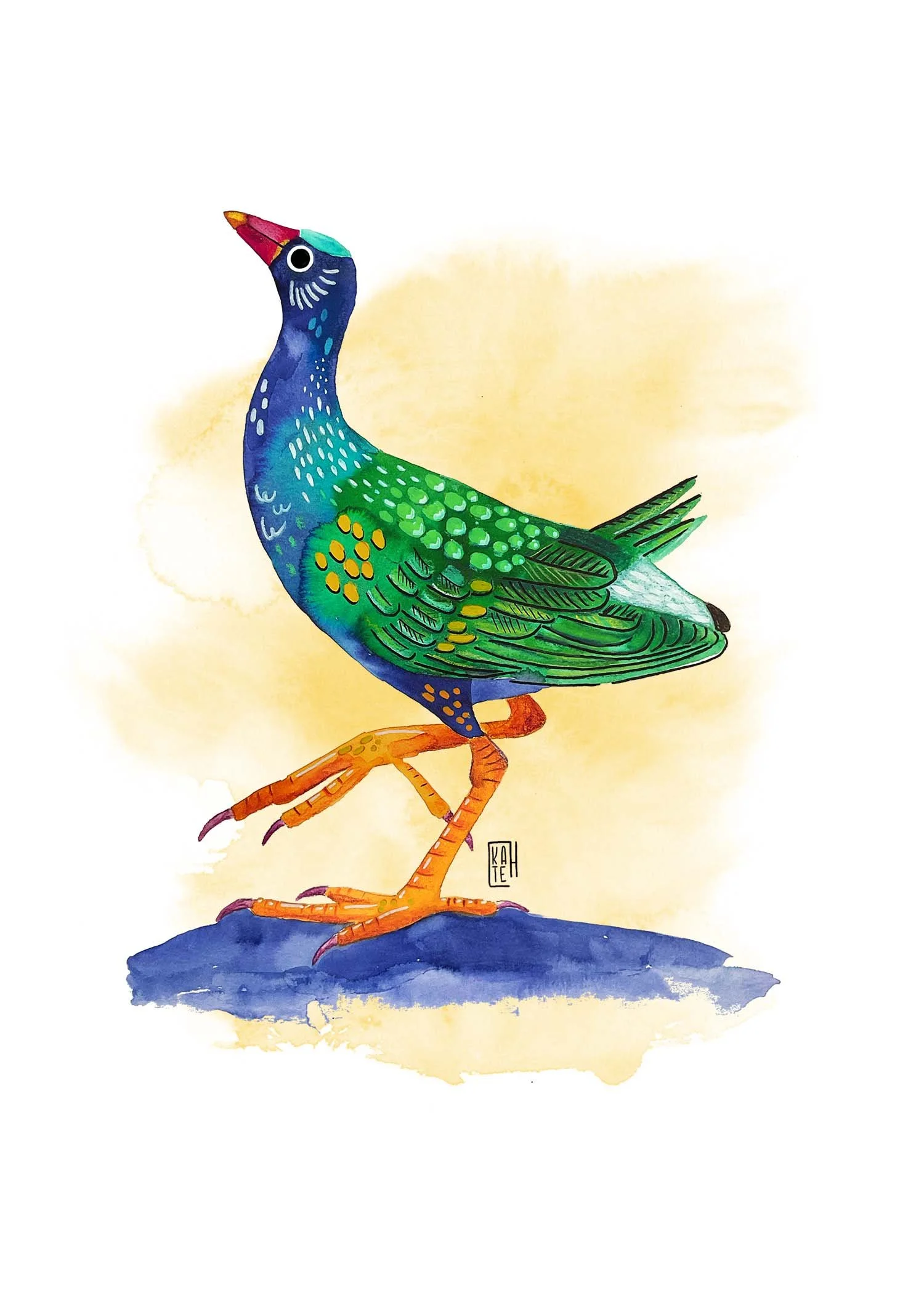 AC-230 purple gallinule-1.jpg