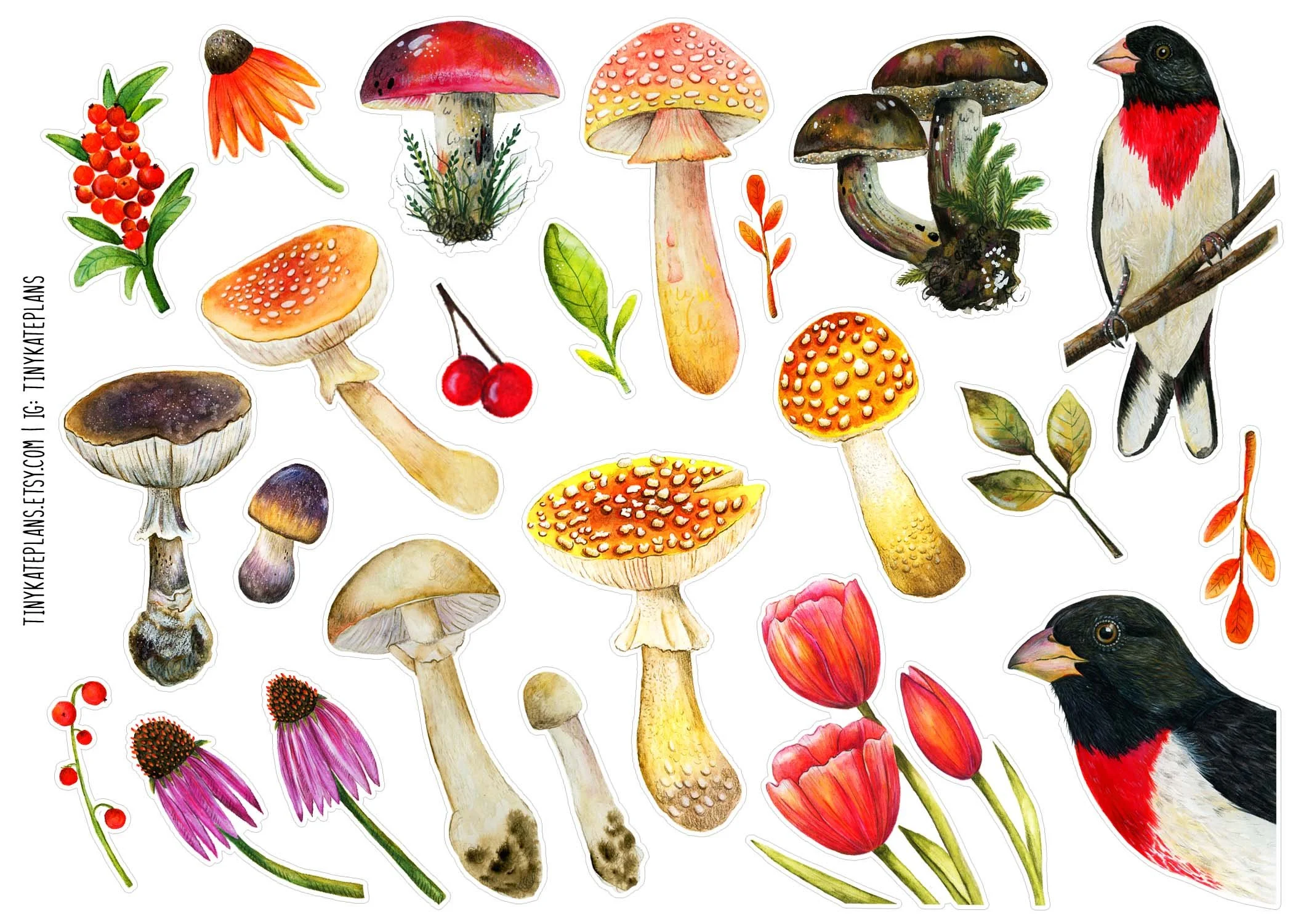 T-207 Birds and shrooms 5x7.jpg