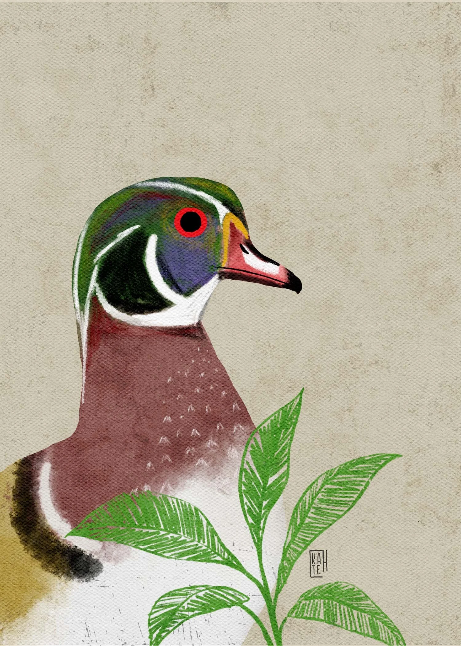 SBC-113 wood duck 1.jpg