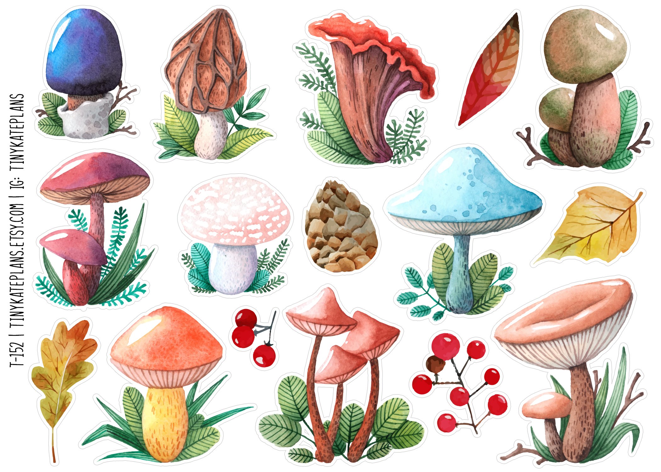 T-152 cute mushrooms 2 - 5x7.jpg