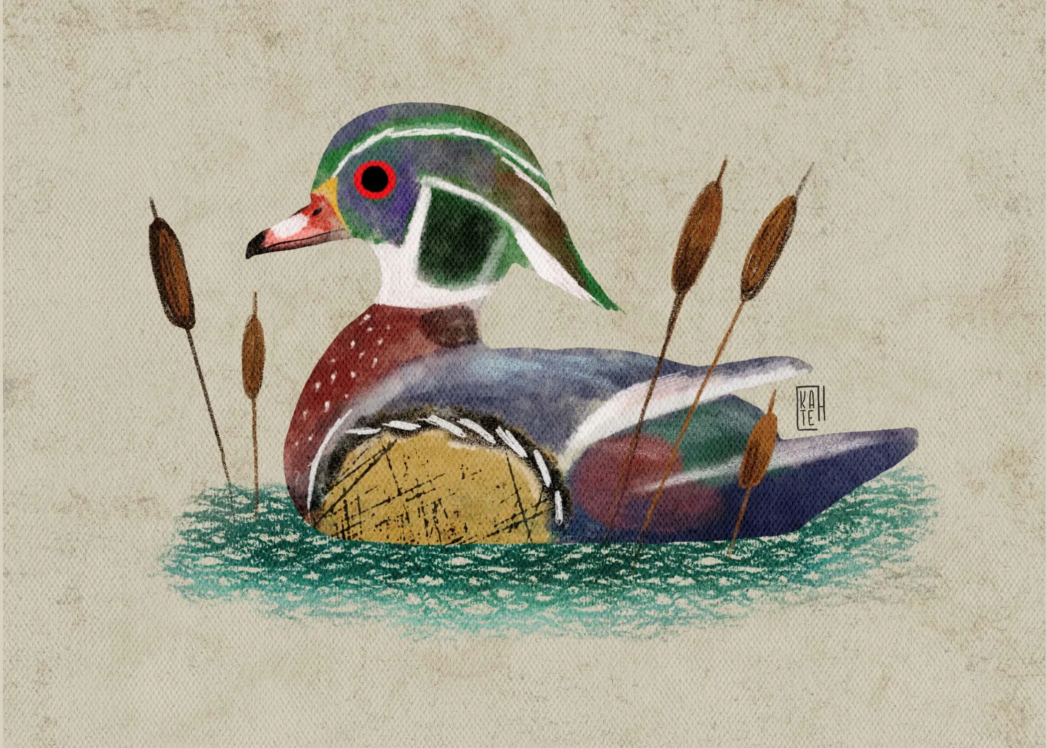 SBC-113 wood duck 5.jpg