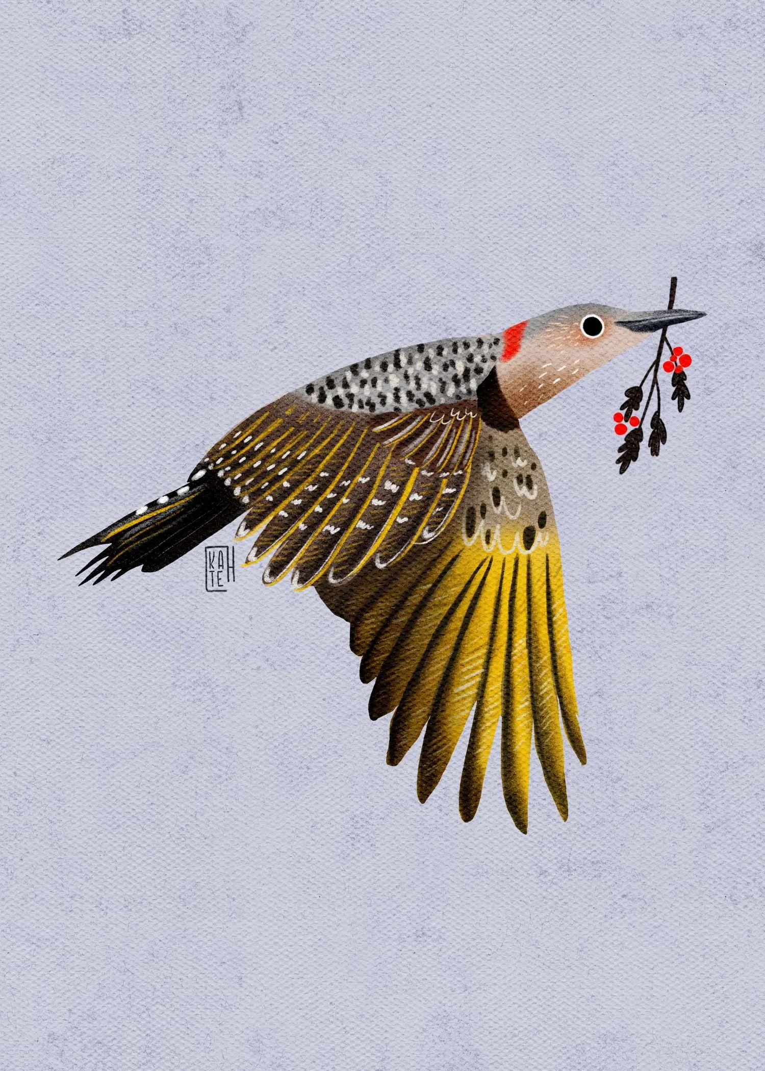 SBC-153 north flicker 4.jpg