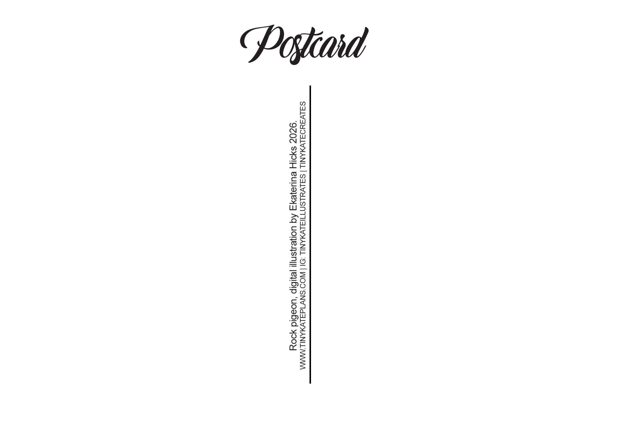 SBC-144 rock pigeons 5x7 back.jpg