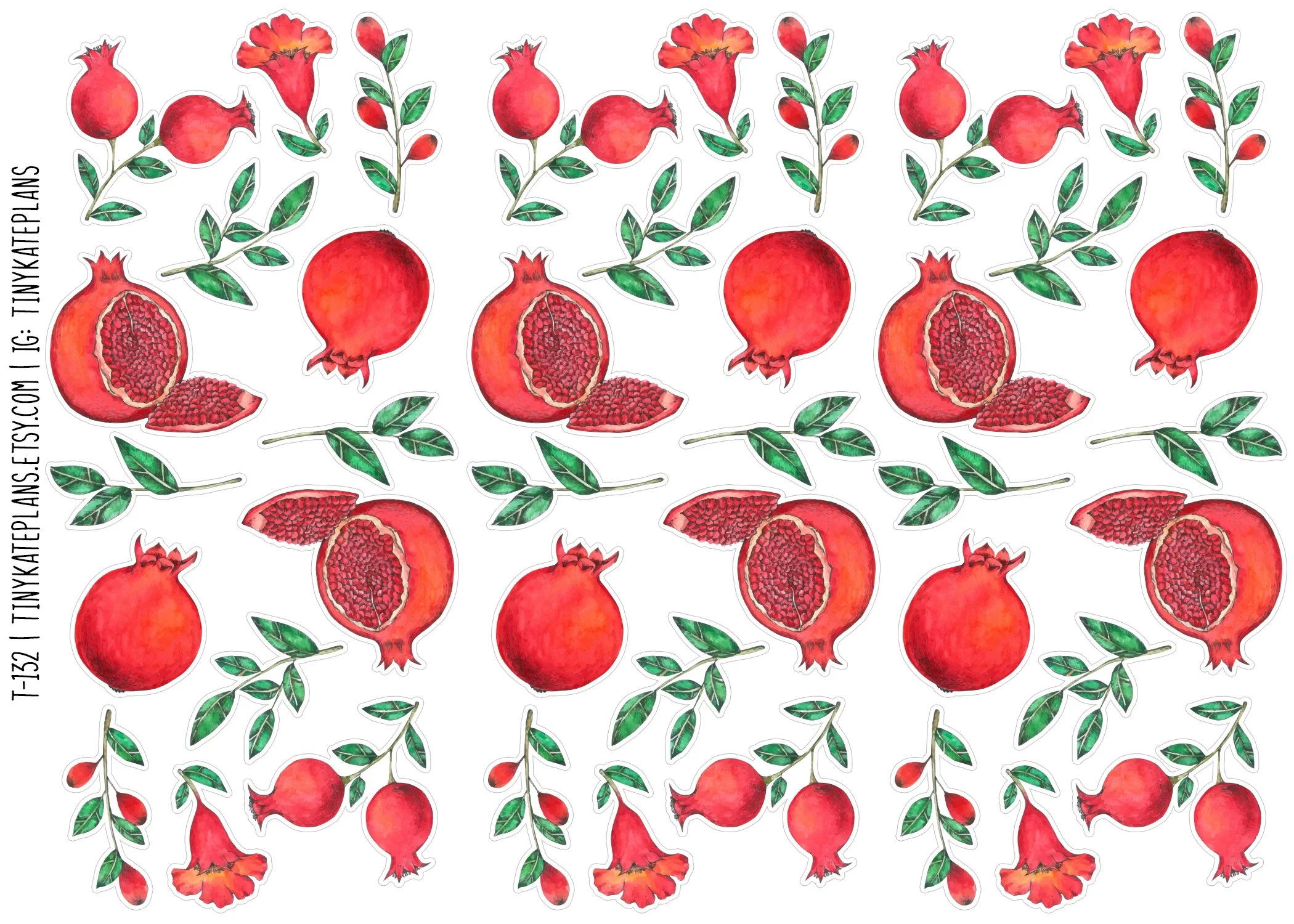 T-132 pomegranate 5x7.jpg