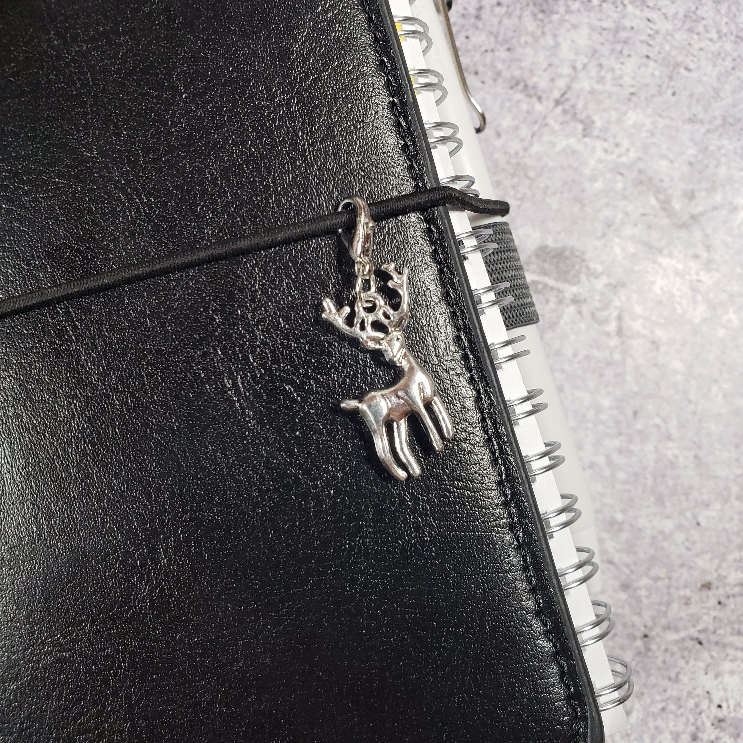 20241109_191900.jpg
