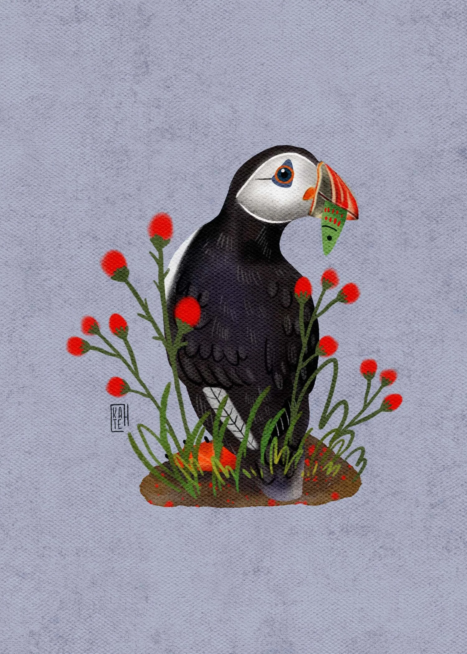 SBC-149 atlantic puffin-5.jpg