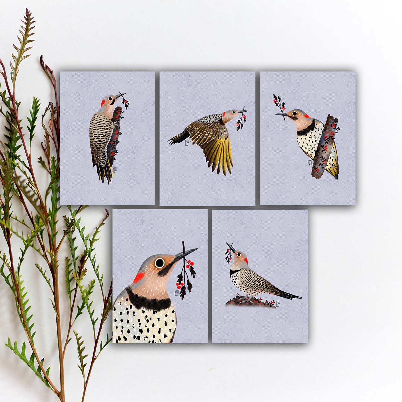 SBC-153 north flicker 5x7 etsy.jpg