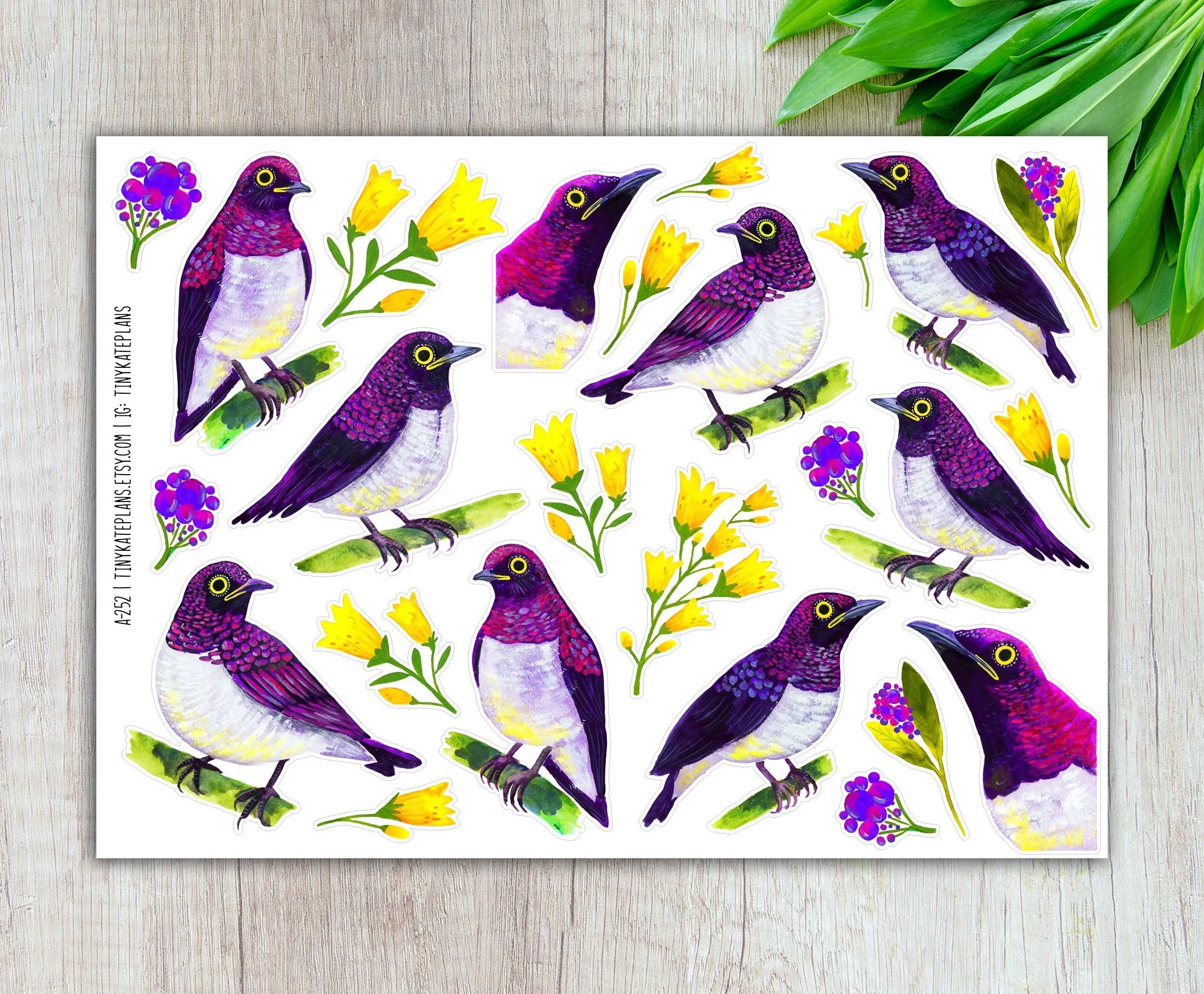 A-252 Violet backed starlings 5x7 etsy.jpg