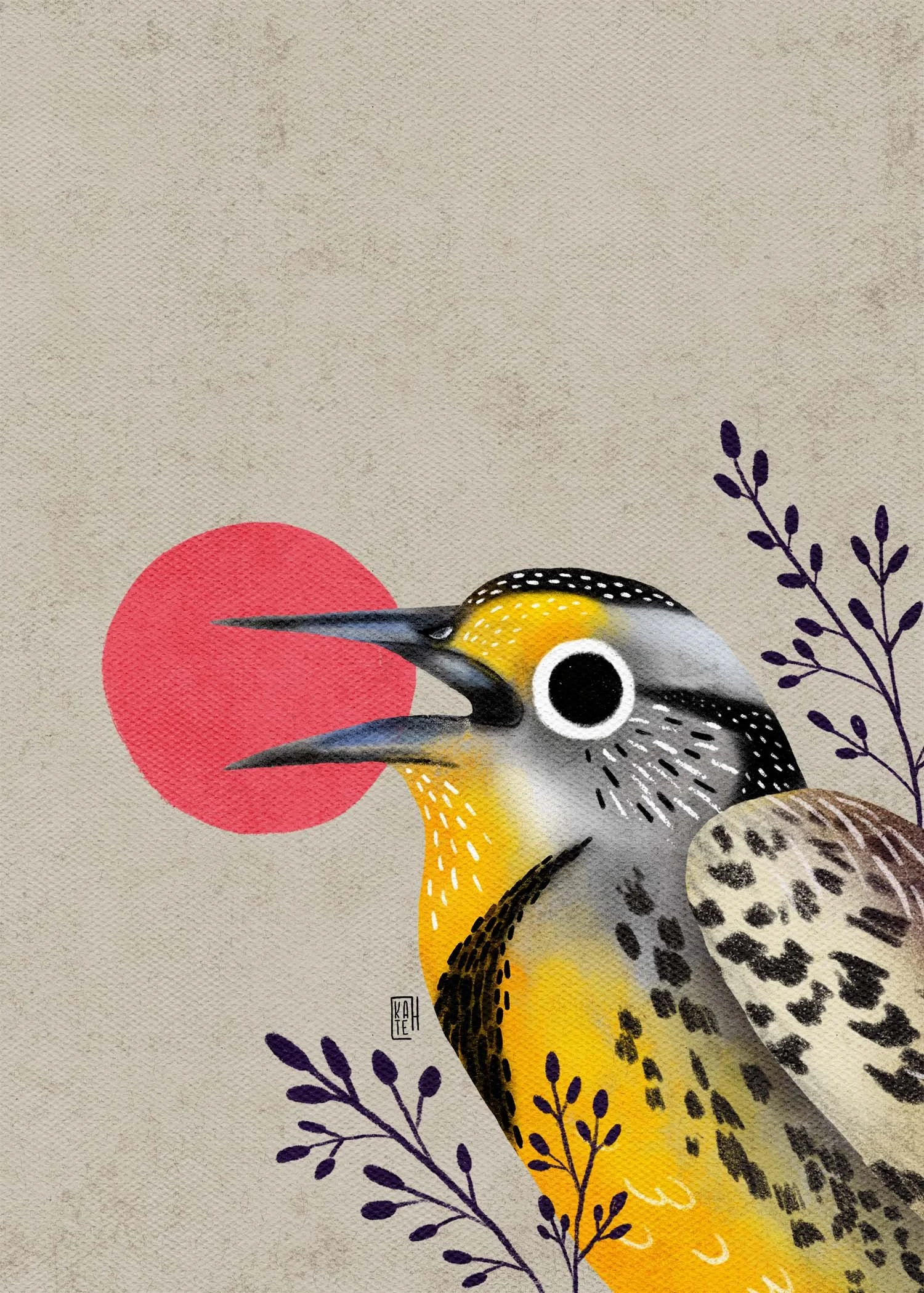 SBC-147 Eastern Meadowlark-2.jpg