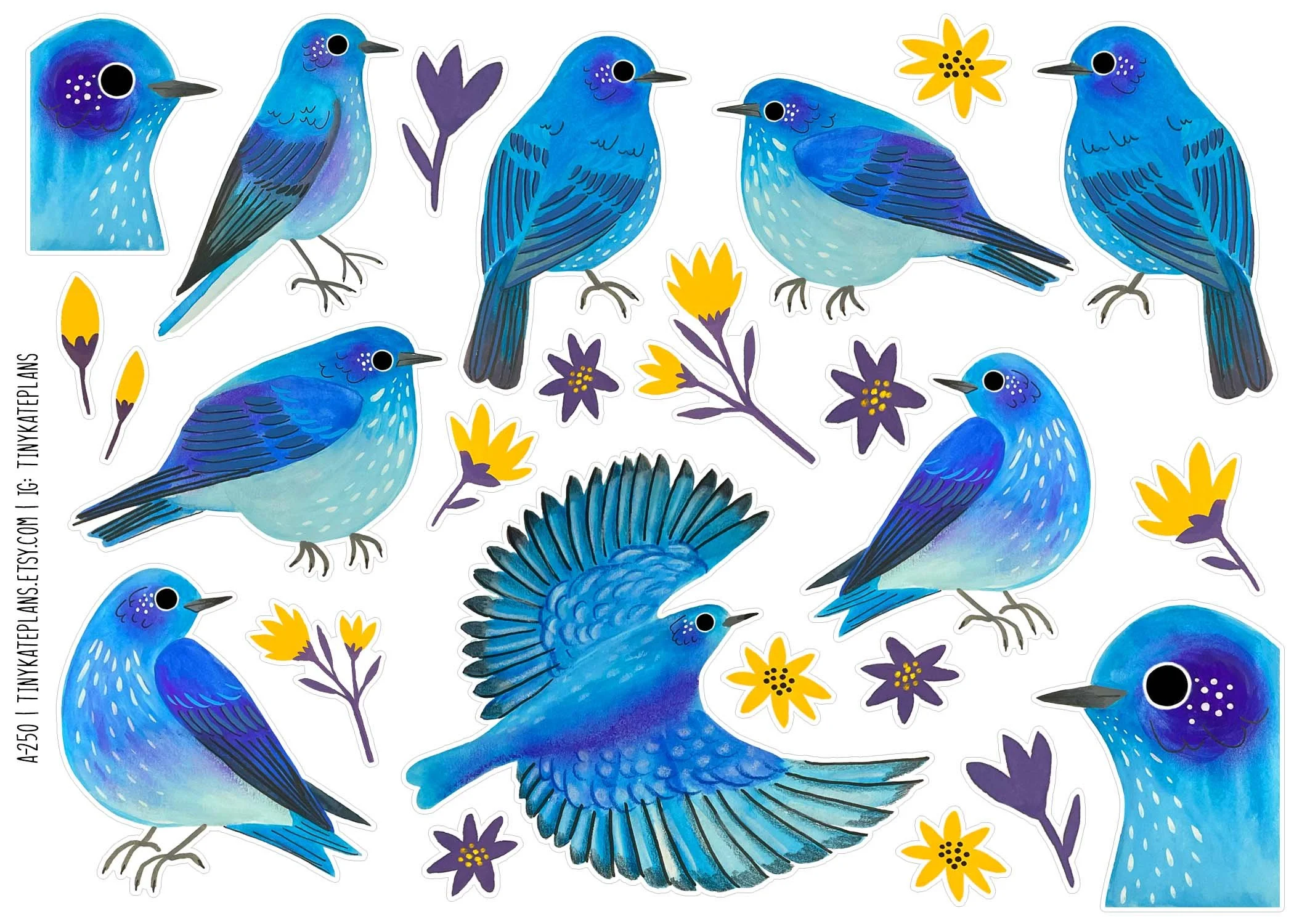 A-250 mountain bluebirds 5x7.jpg